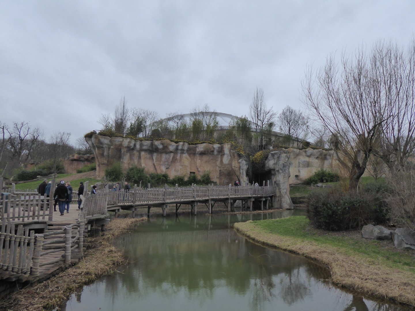 Pongoland outdoors 280118