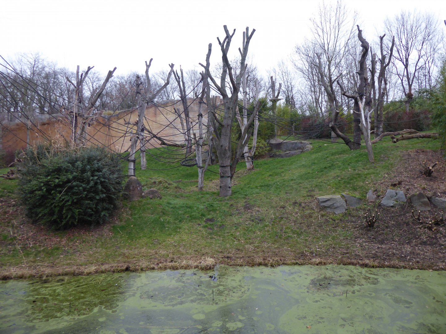 Pongoland outdoors 280118