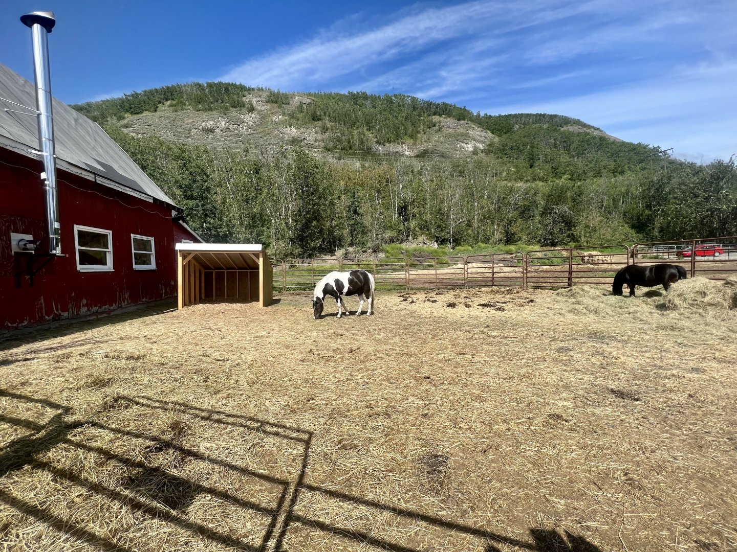 Pony Corral