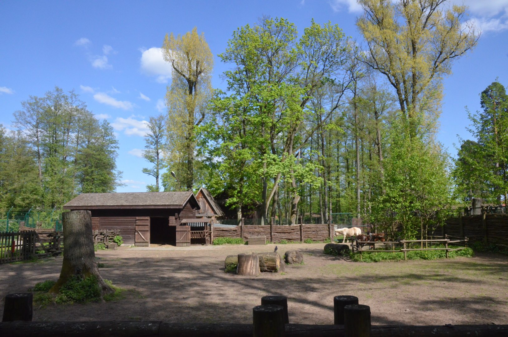 Pony Enclosure at Akcent Zoo Białystok, 08/05/19