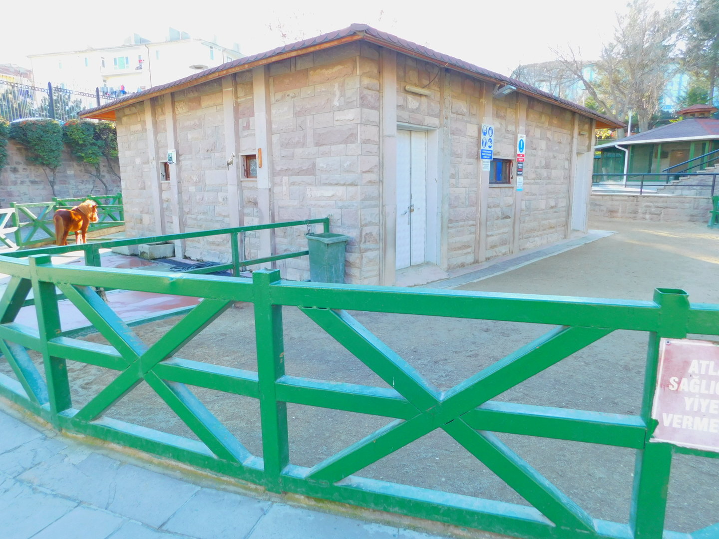 Pony Enclosure at the Ankara Domestic Animals Park