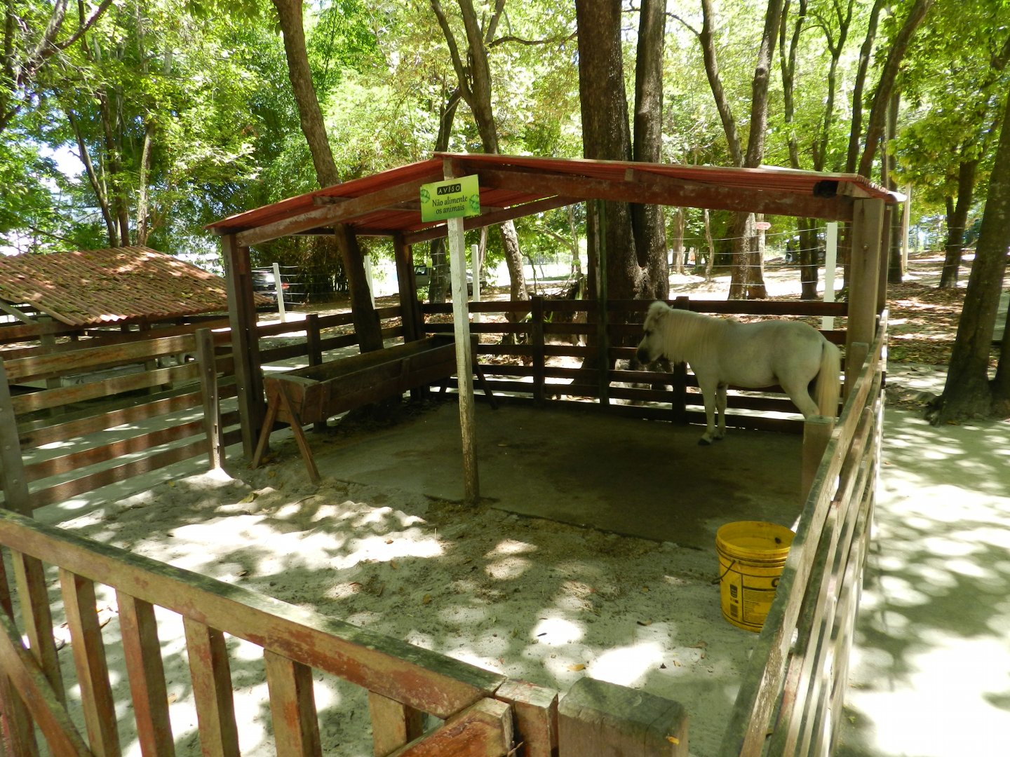 Pony pen - Bosque dos sonhos park and mini zoo (João Pessoa)