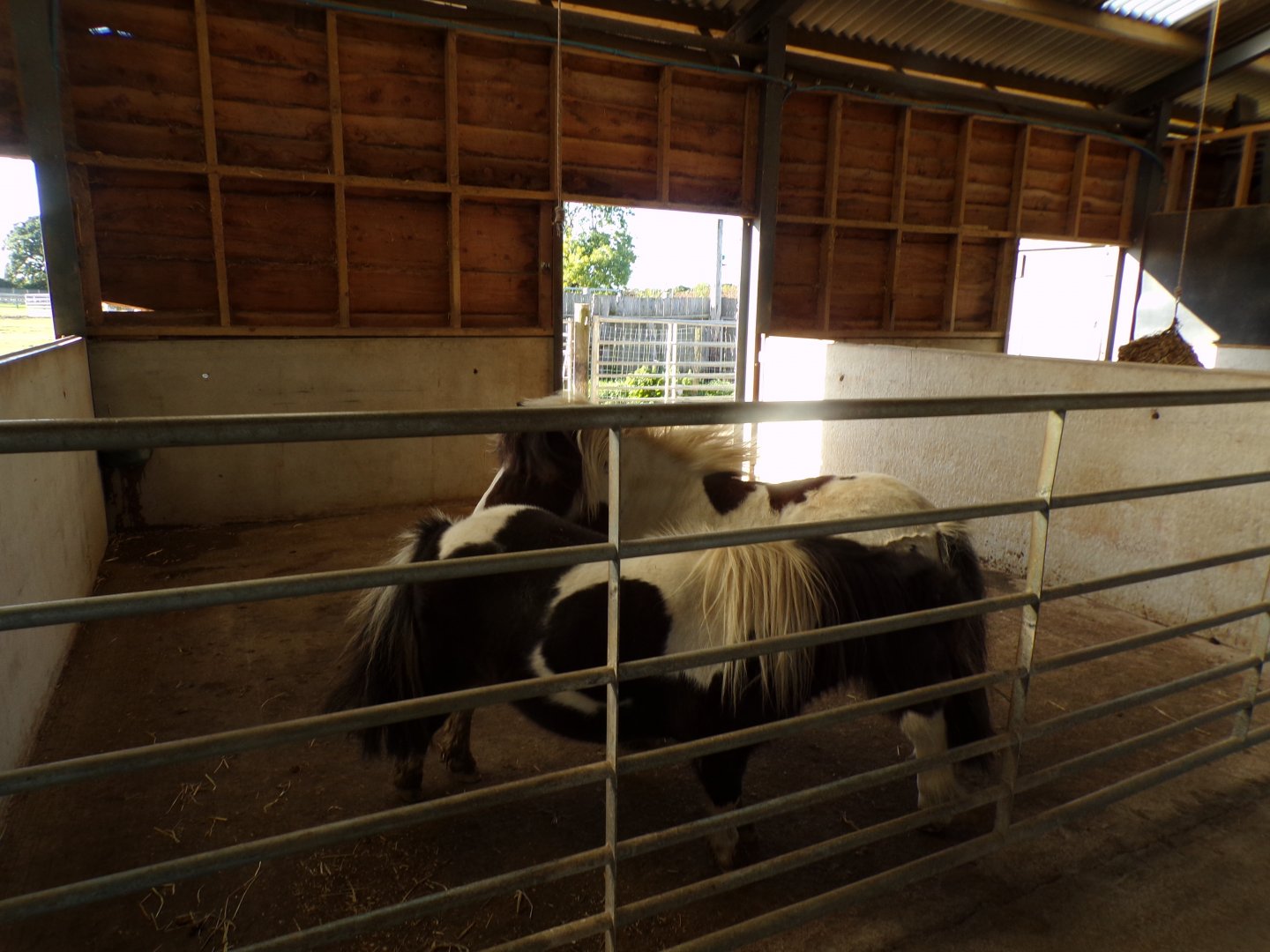 Pony stables 14.10.23