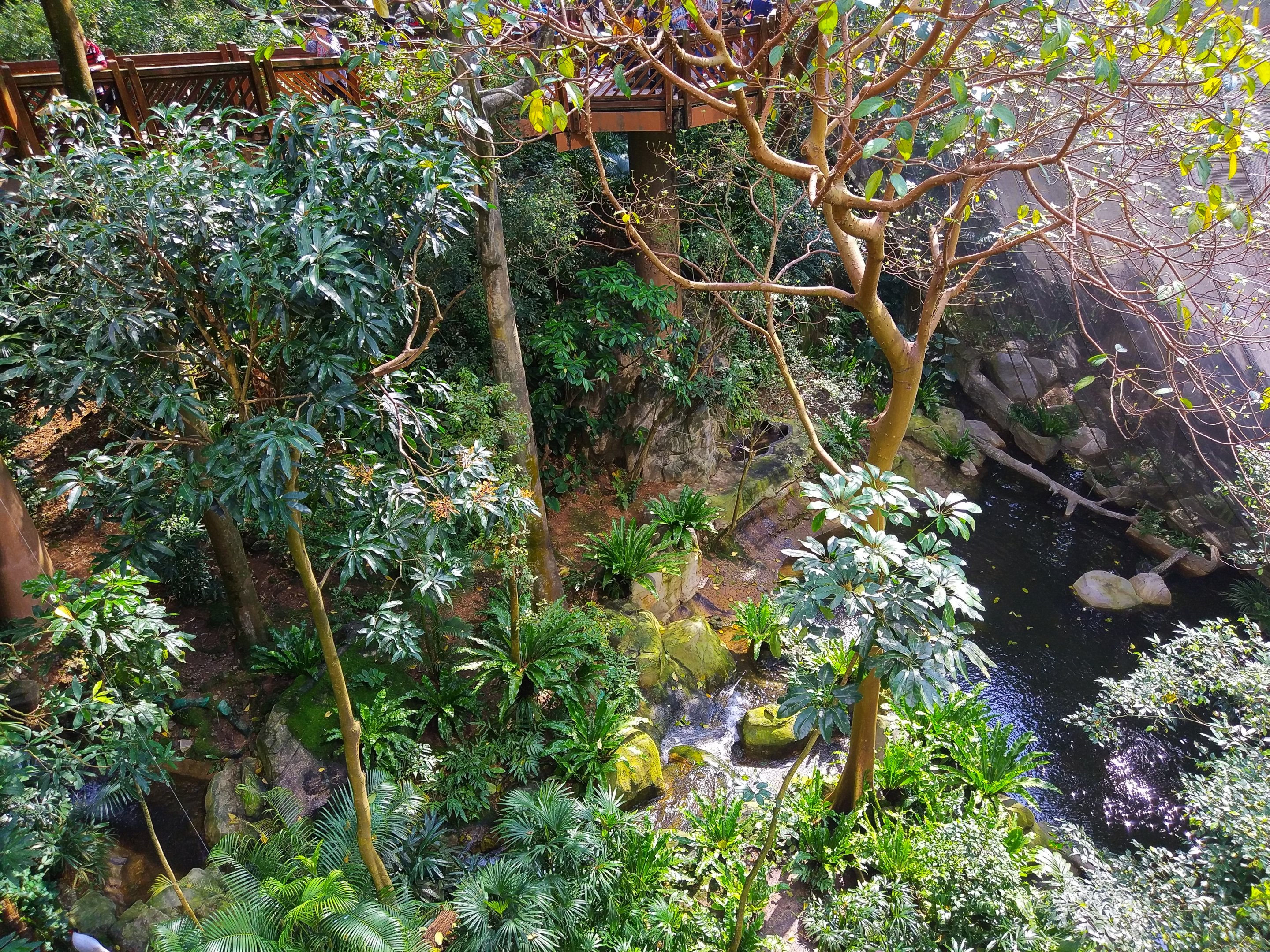 Pool at the lower end of the aviary