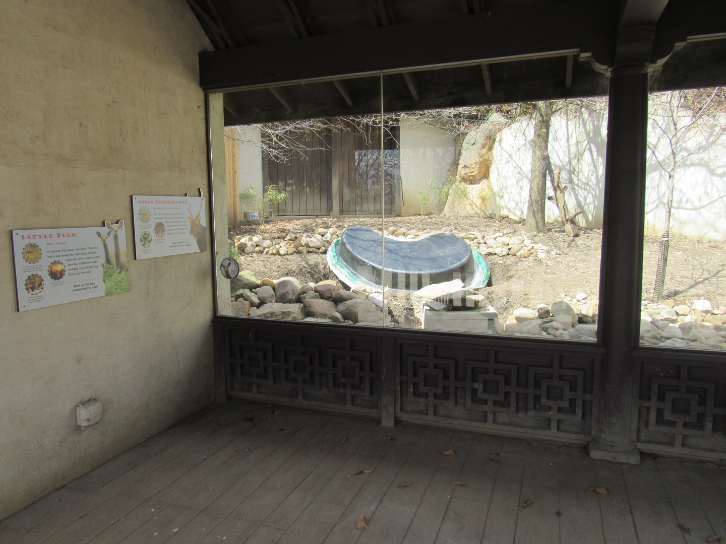 Pool Being Added to Musk Deer Exhibit (formerly Sika Deer)
