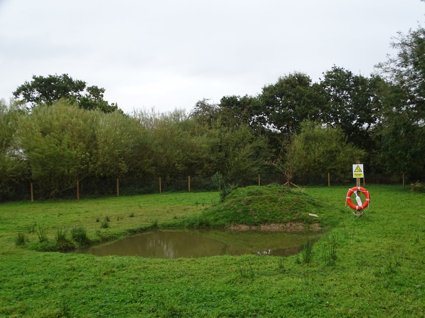 Pool for Capybaras, 12th October 2024
