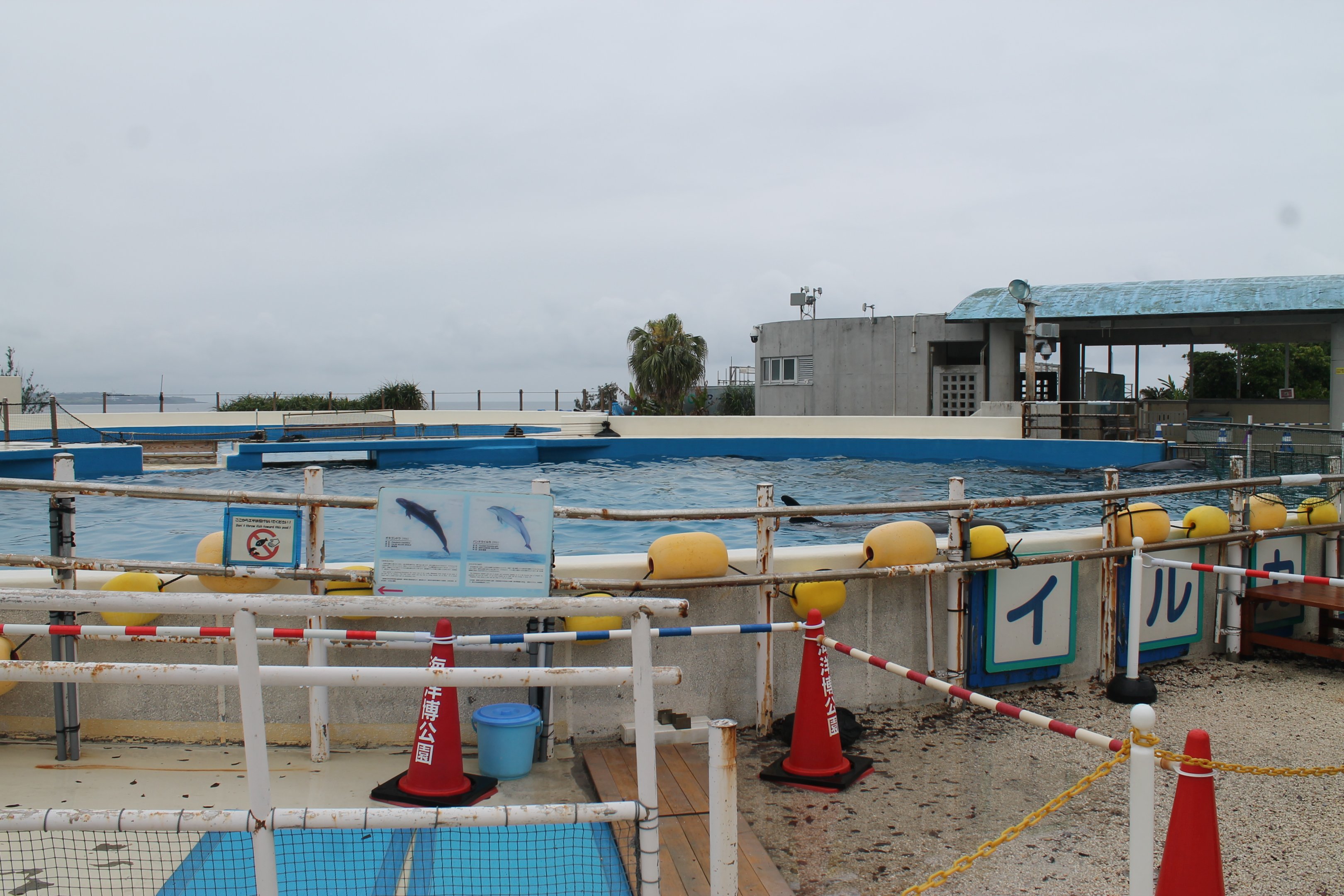 pool for False Killer Whales (Pseudorca crassidens)