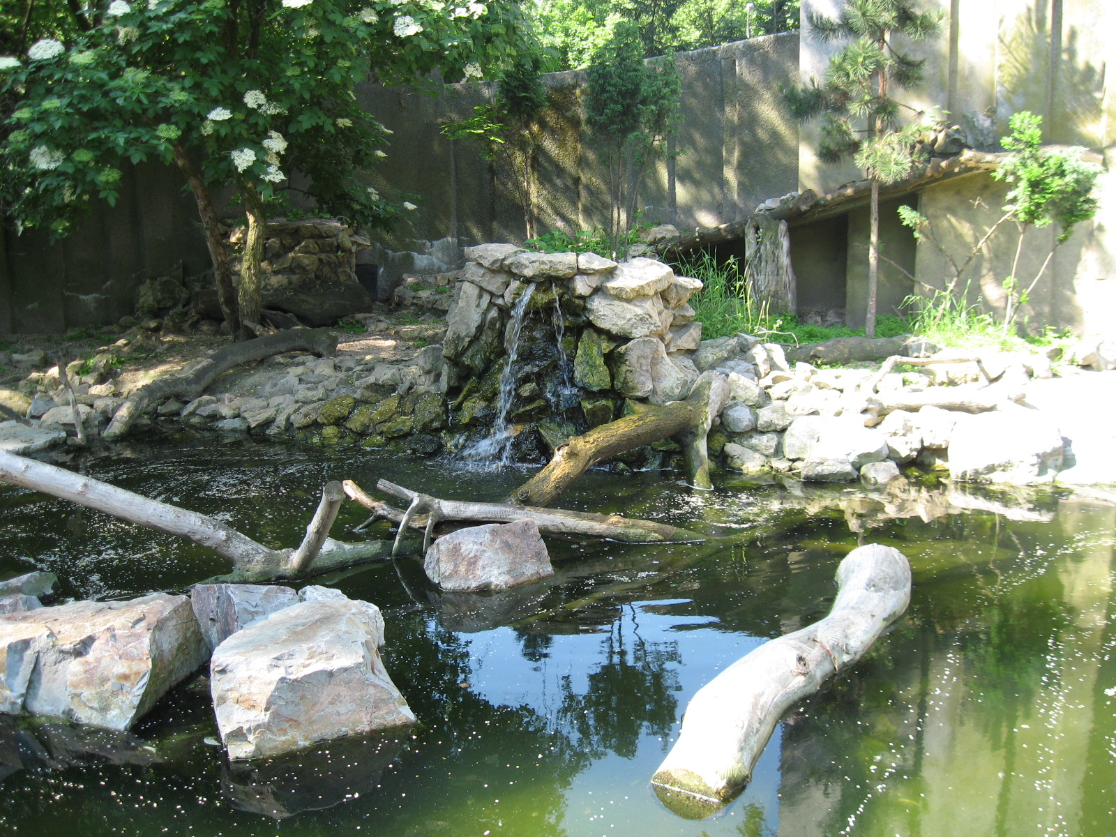 Pool for otters,  Warsaw Zoo