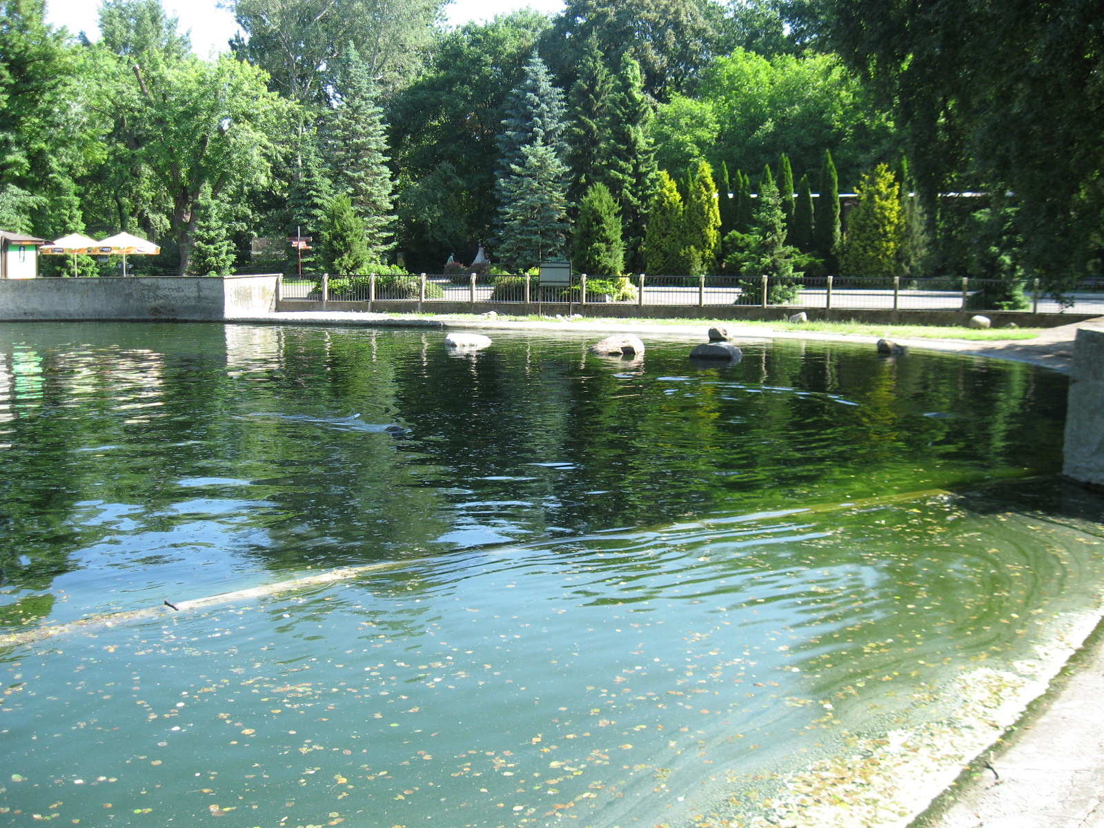 Pool for seals, Warsaw Zoo