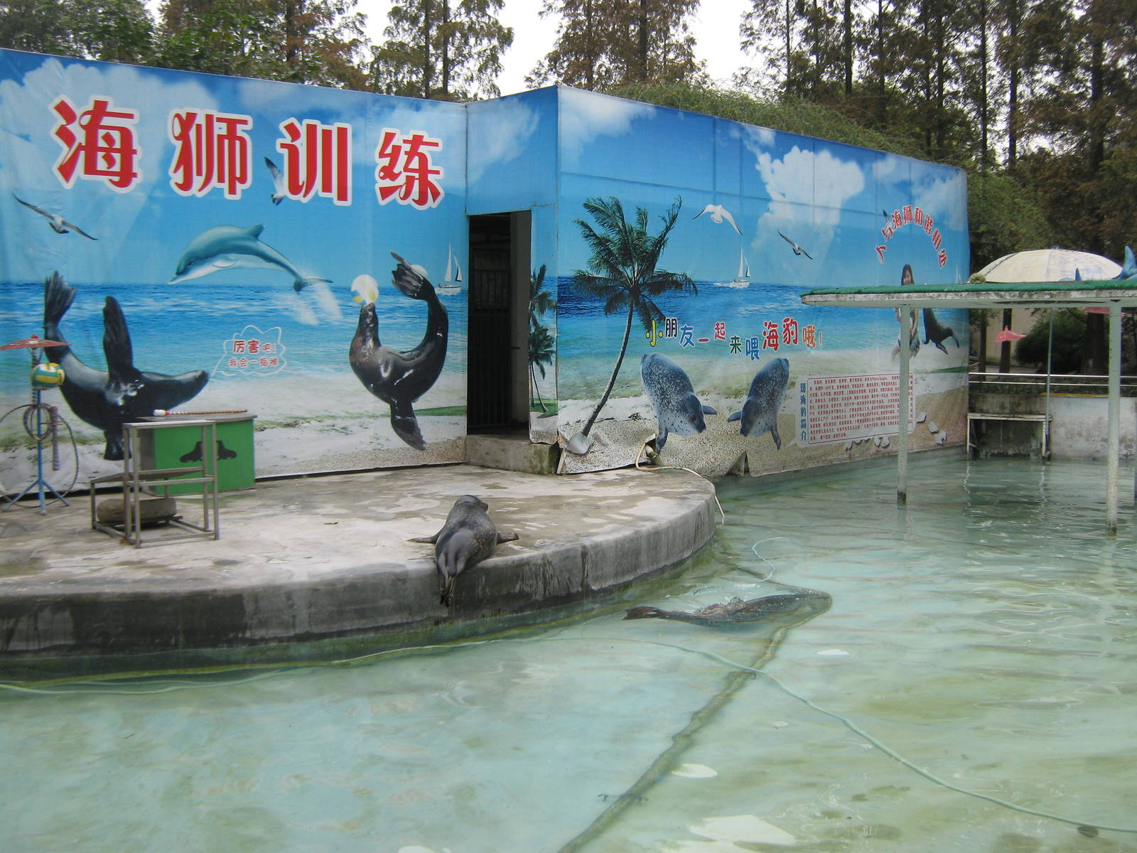 pool for spotted seals