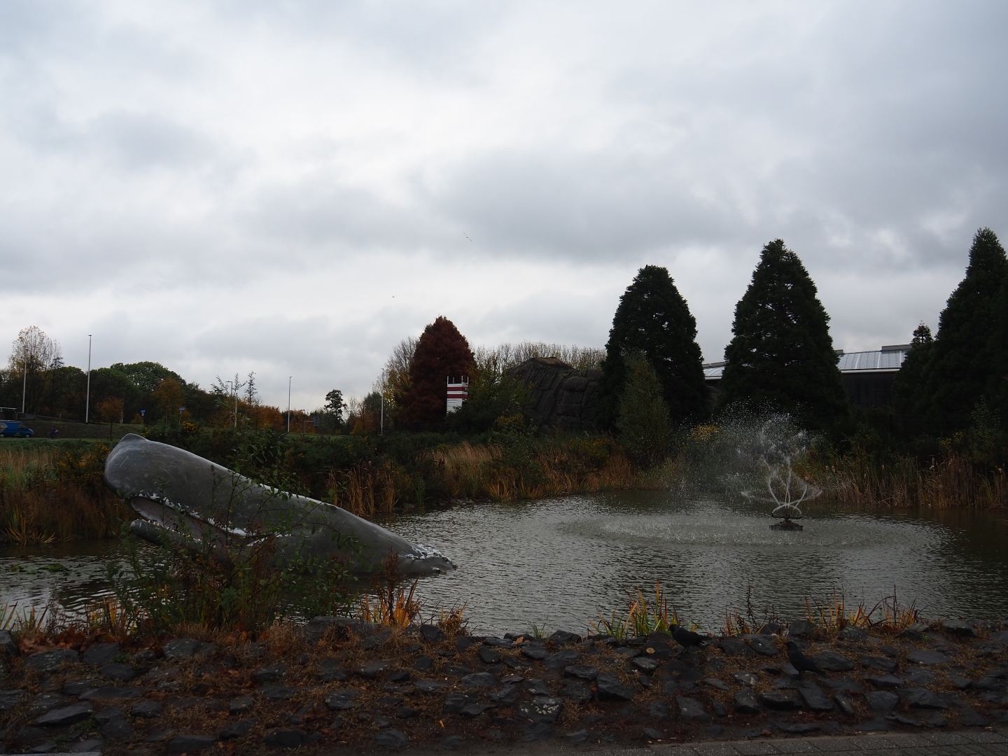 Pool in between the parking lot and the Oceanium (Nov 10th, 2018)