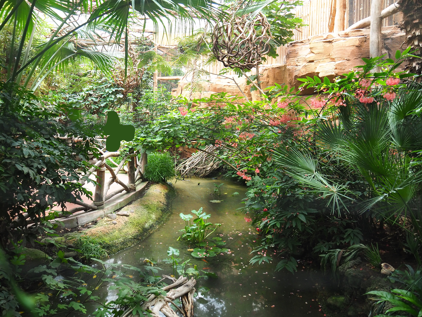 Pool in former aracari walk-through area, 2022-09-14