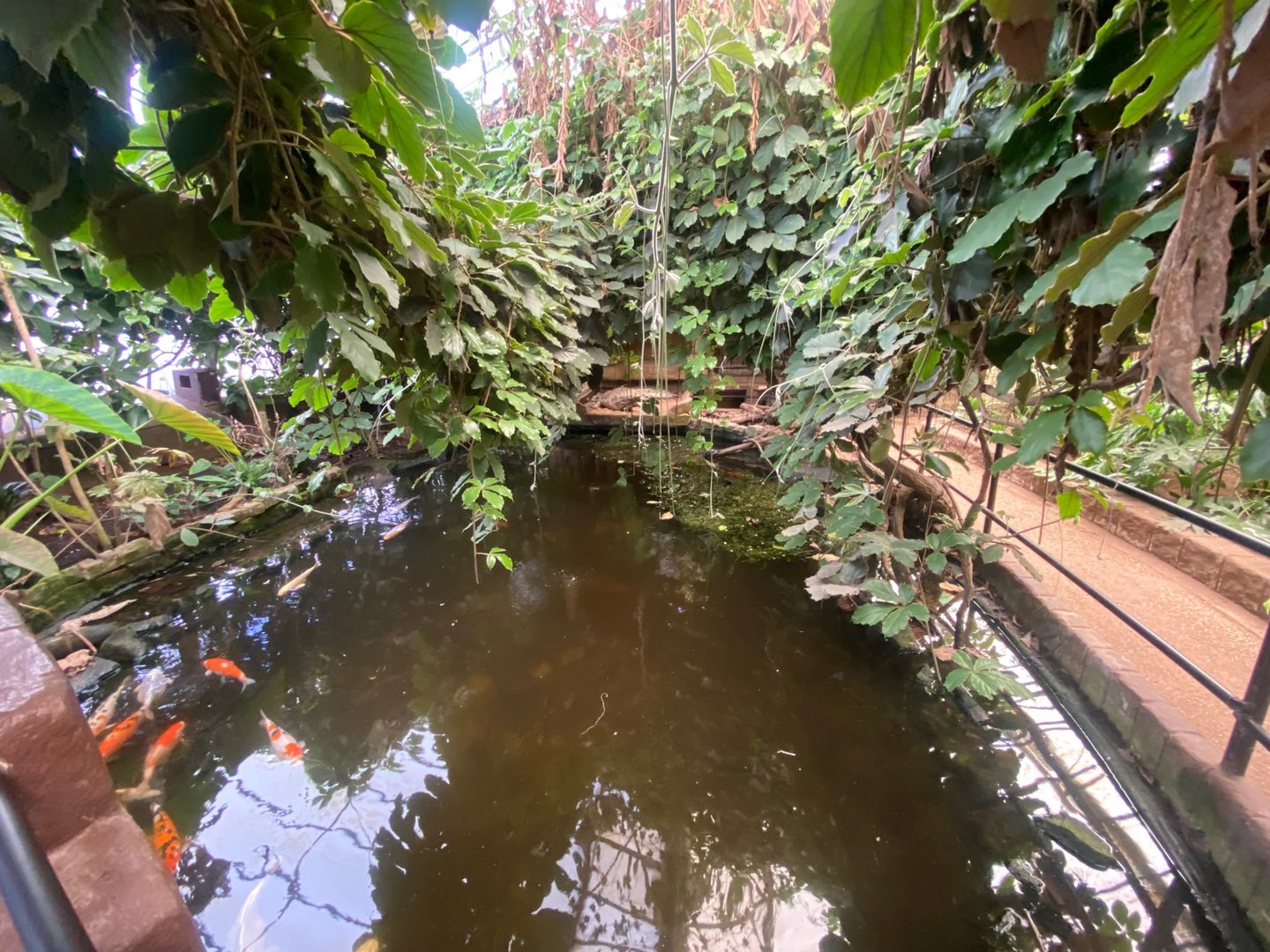 Pool in indoor area 140923