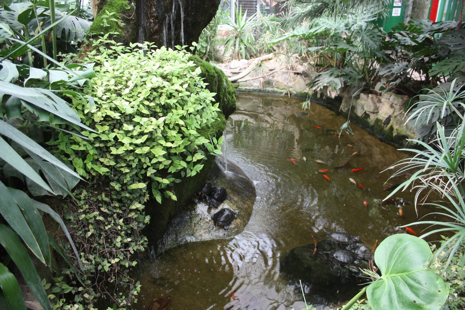 Pool in indoor area, 23rd September 2014