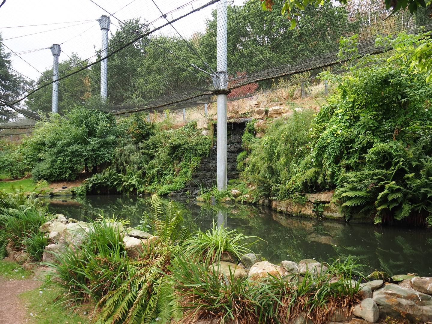 Pool in large aviary (Aug 28th, 2018)