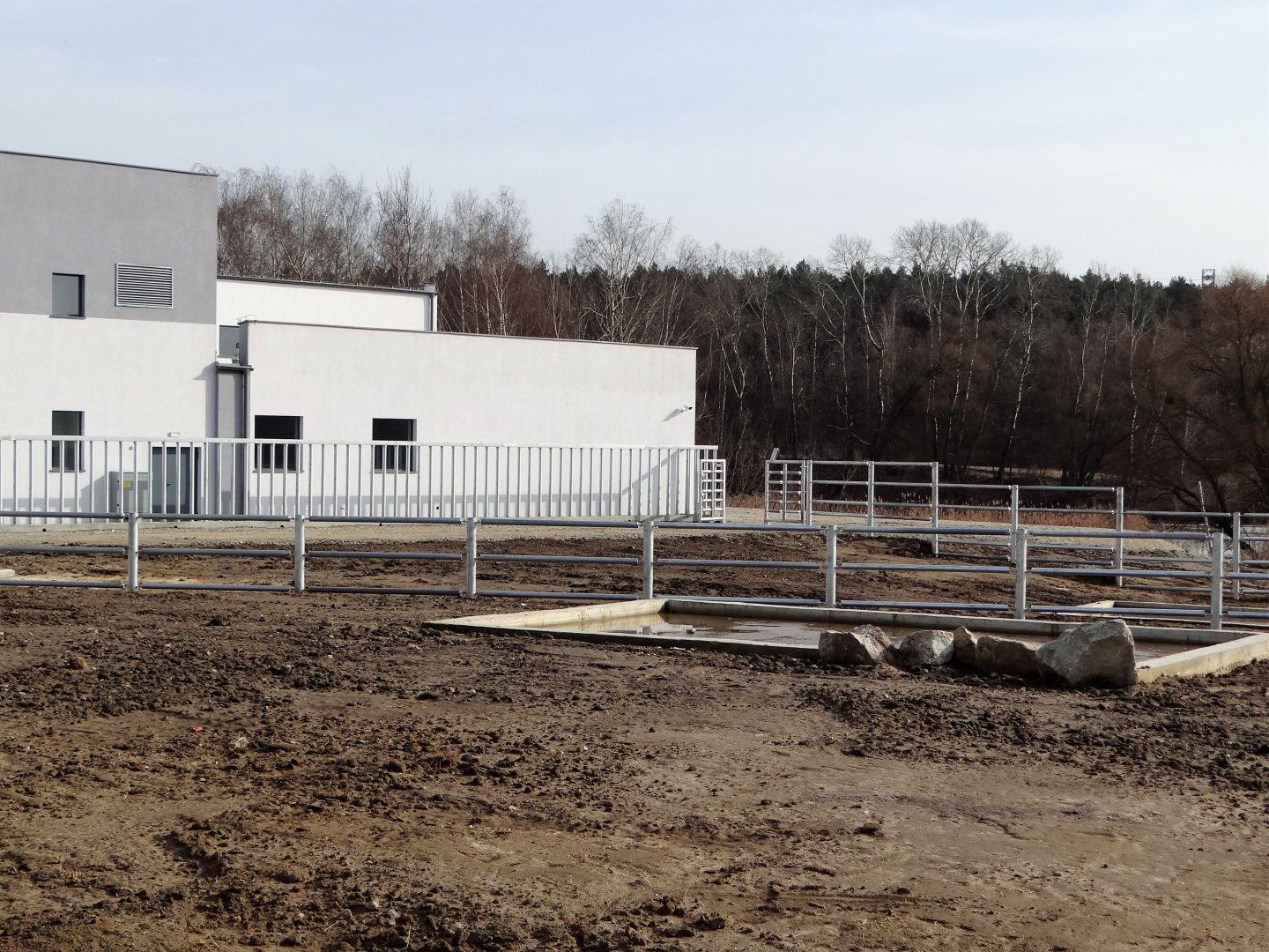 Pool in rhino paddock
