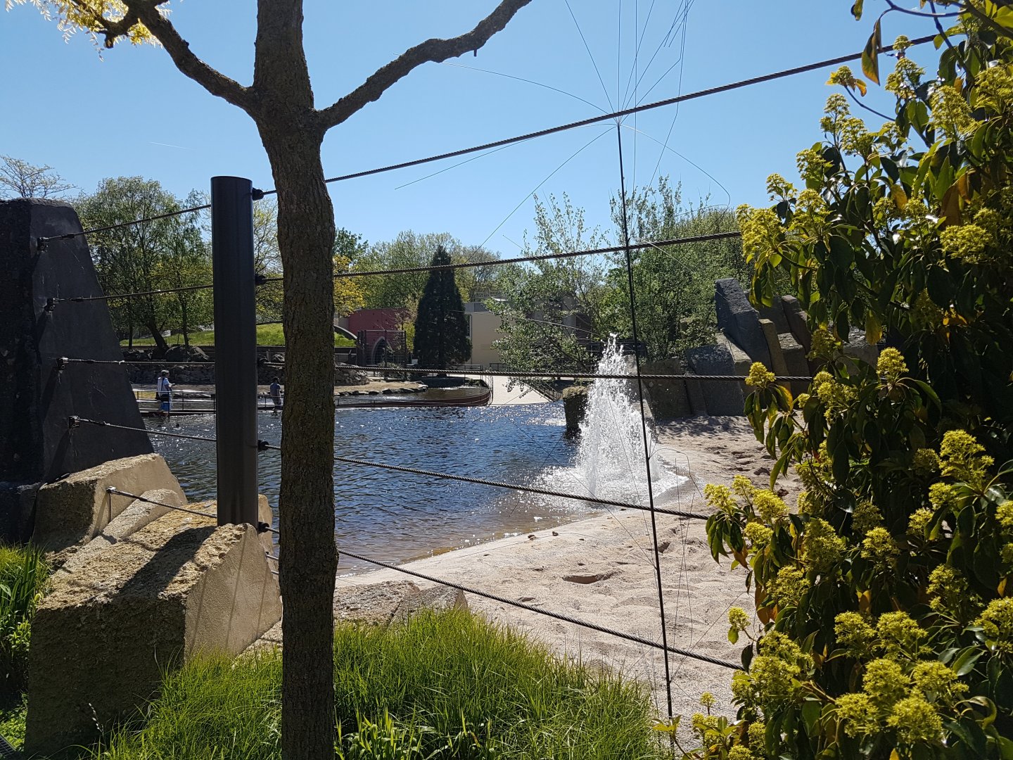 Pool in the new Elephant-enclosure