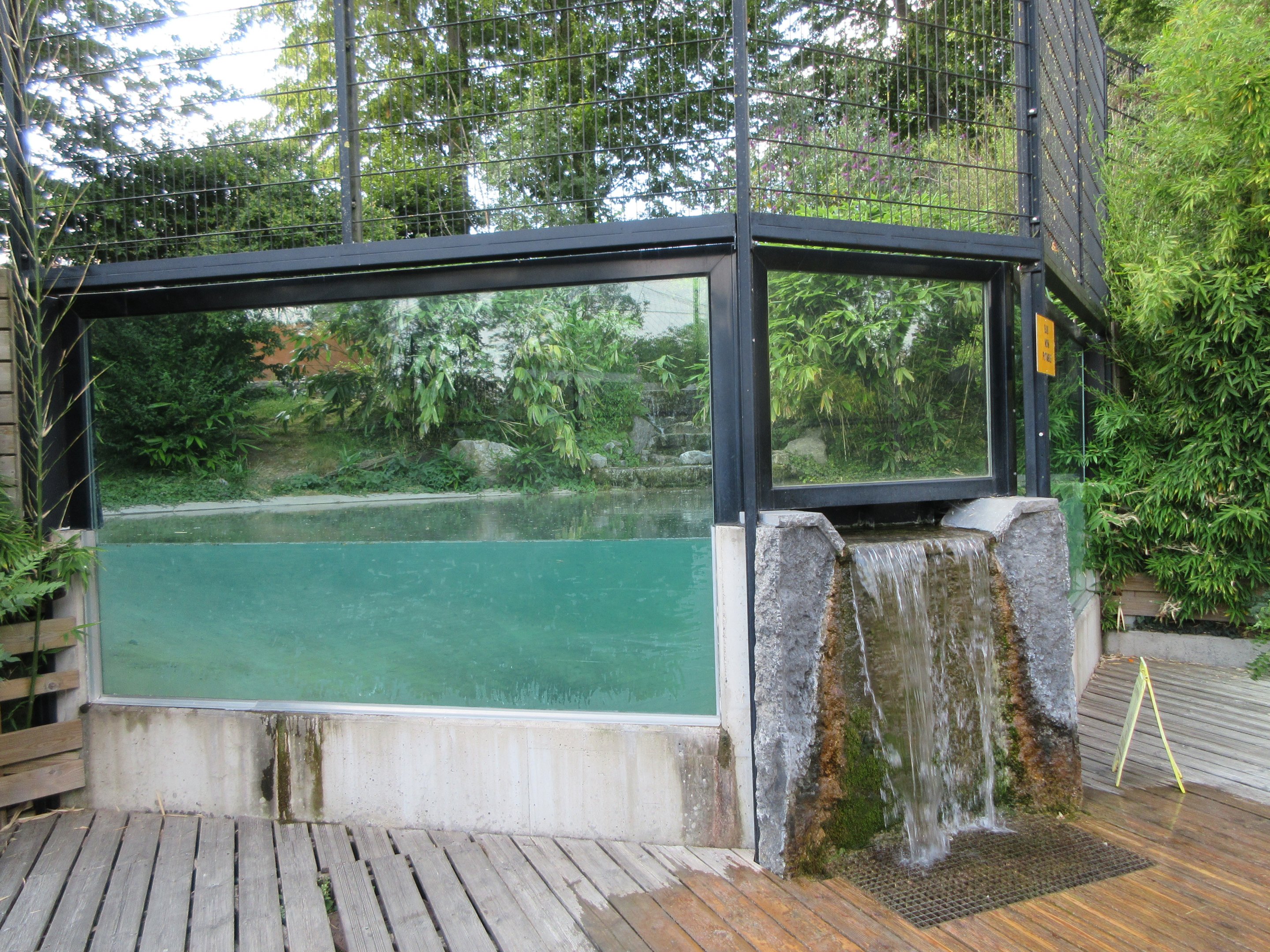 Pool in White Tiger Exhibit (currently no cats)