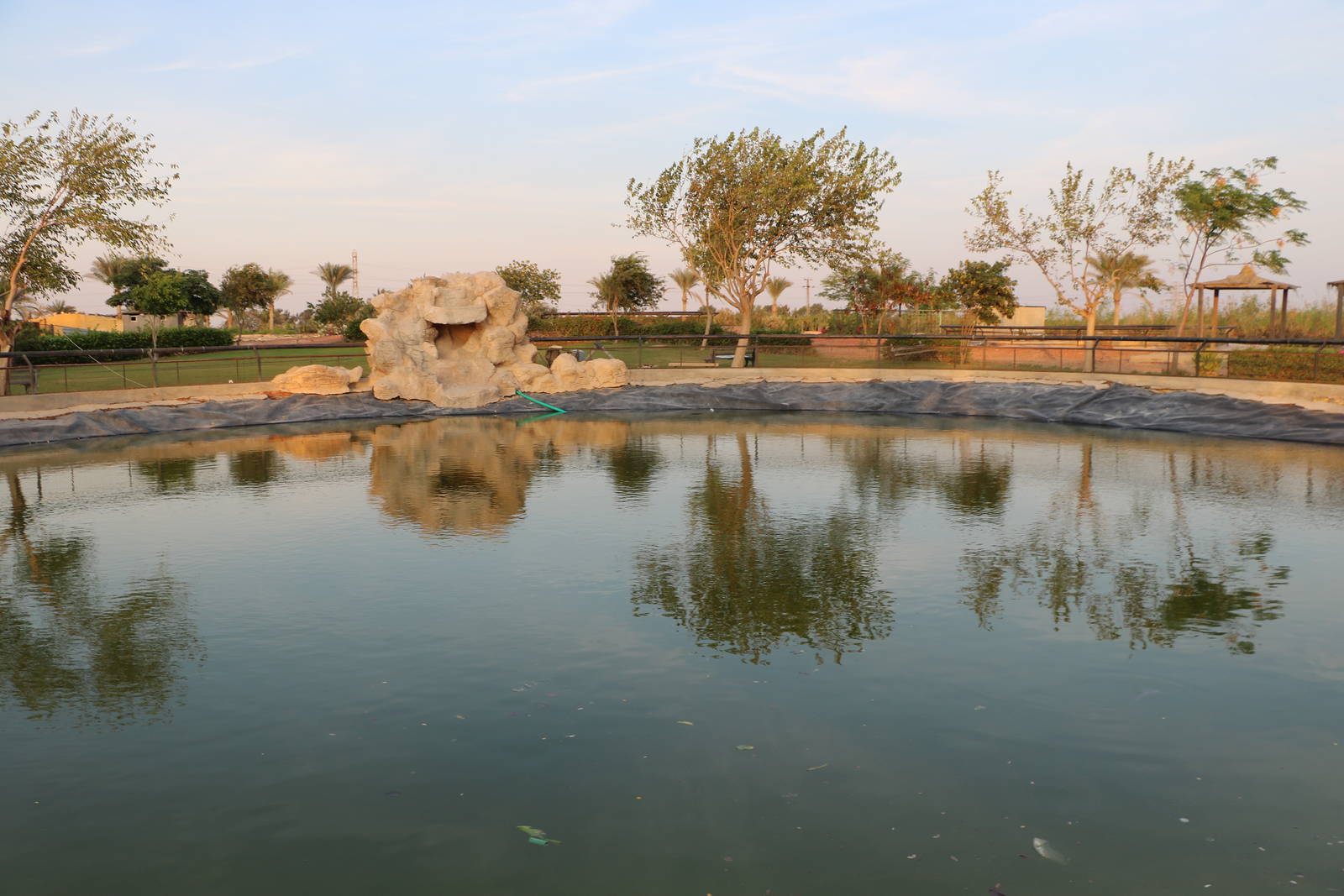 Pool - Master Zoo, October 2015