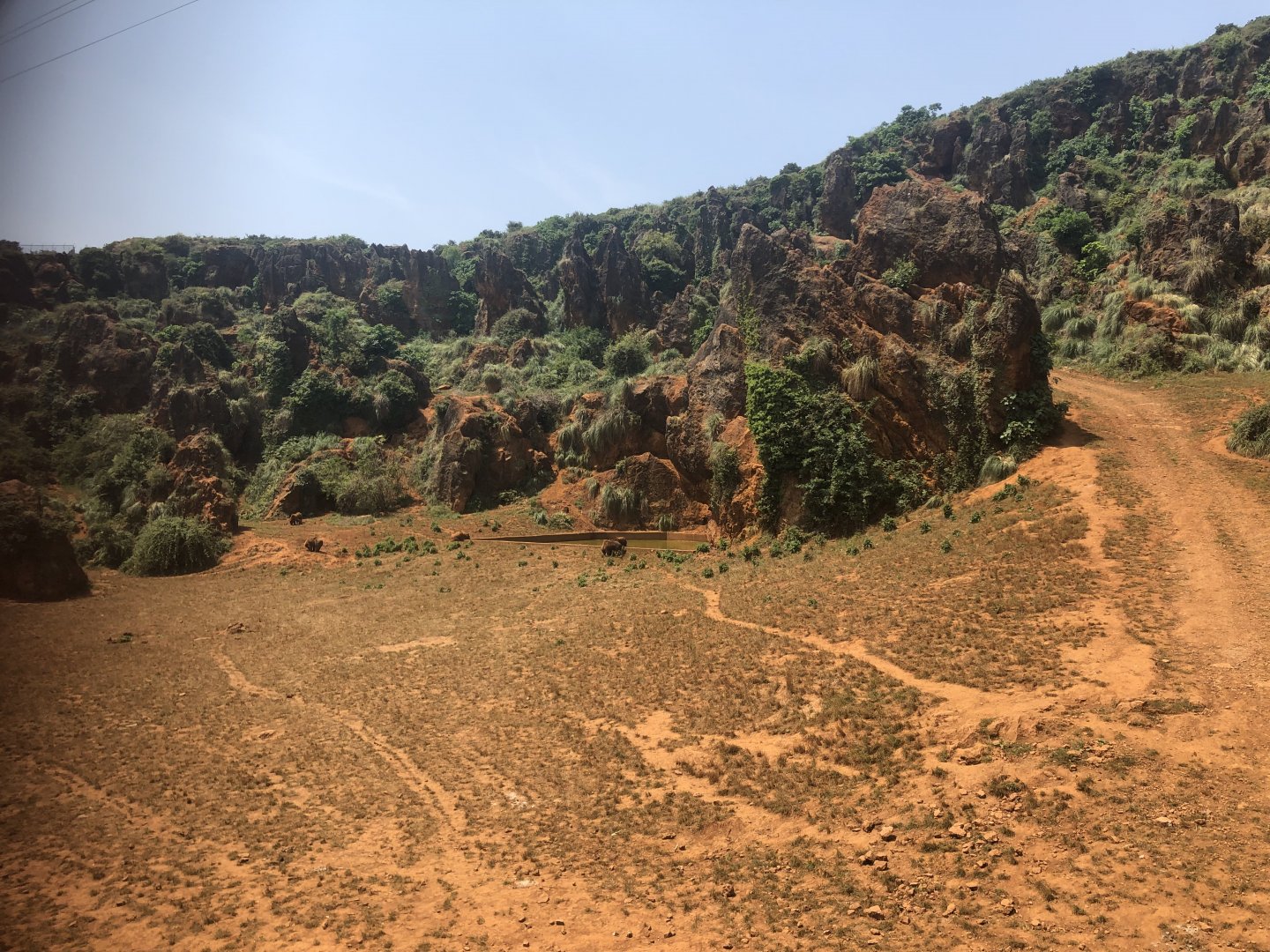Pool Section of Bear Enclosure