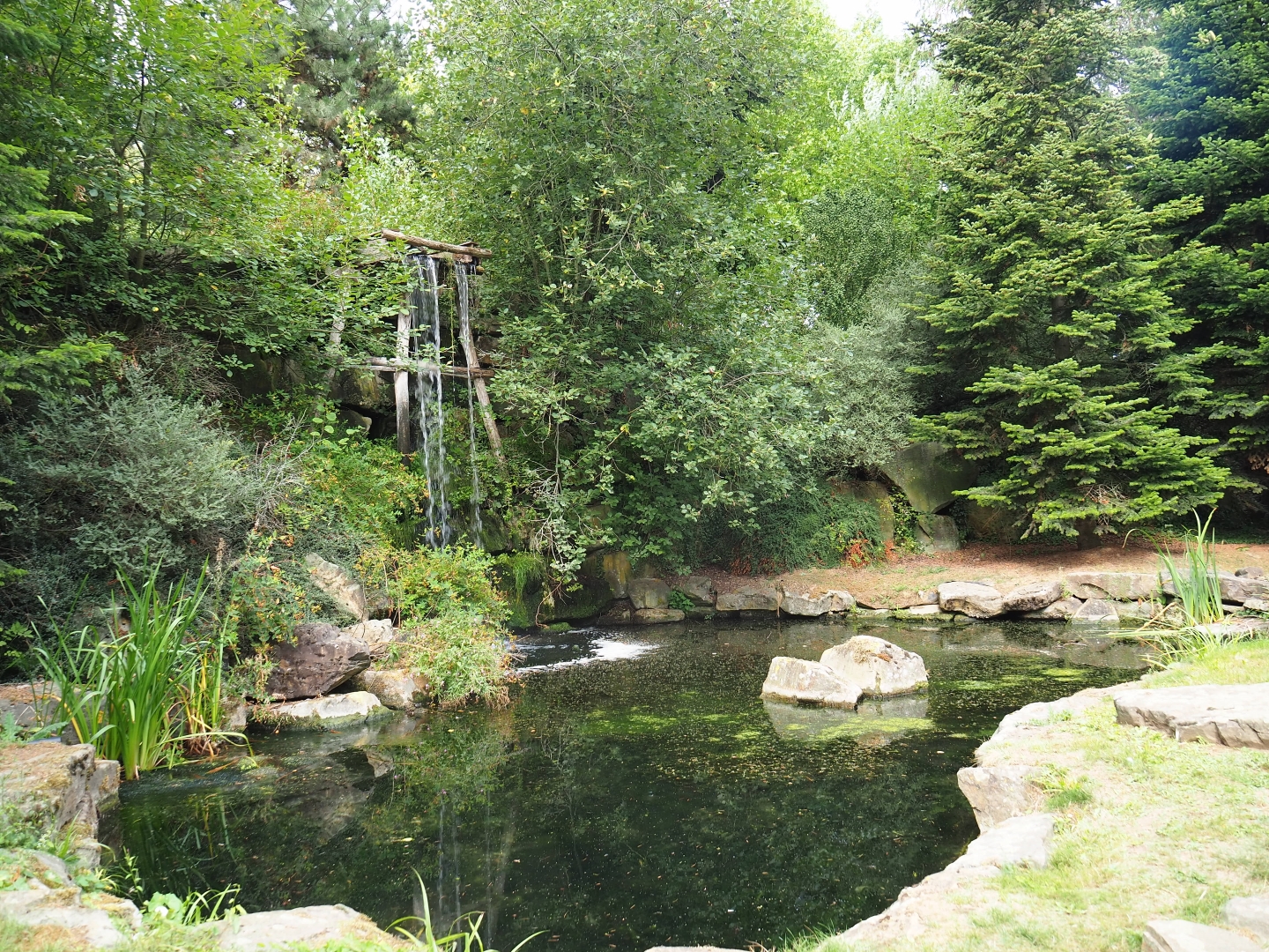 Pool with waterfall (Aug 28th, 2018)
