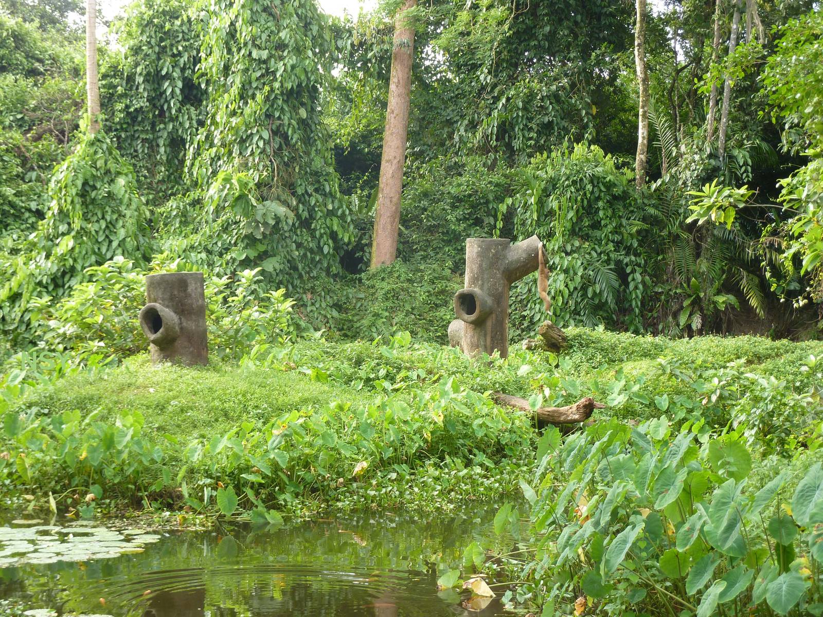 Poor gibbon island, May 2013