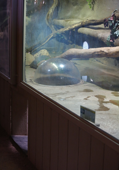 pop up snake exhibit