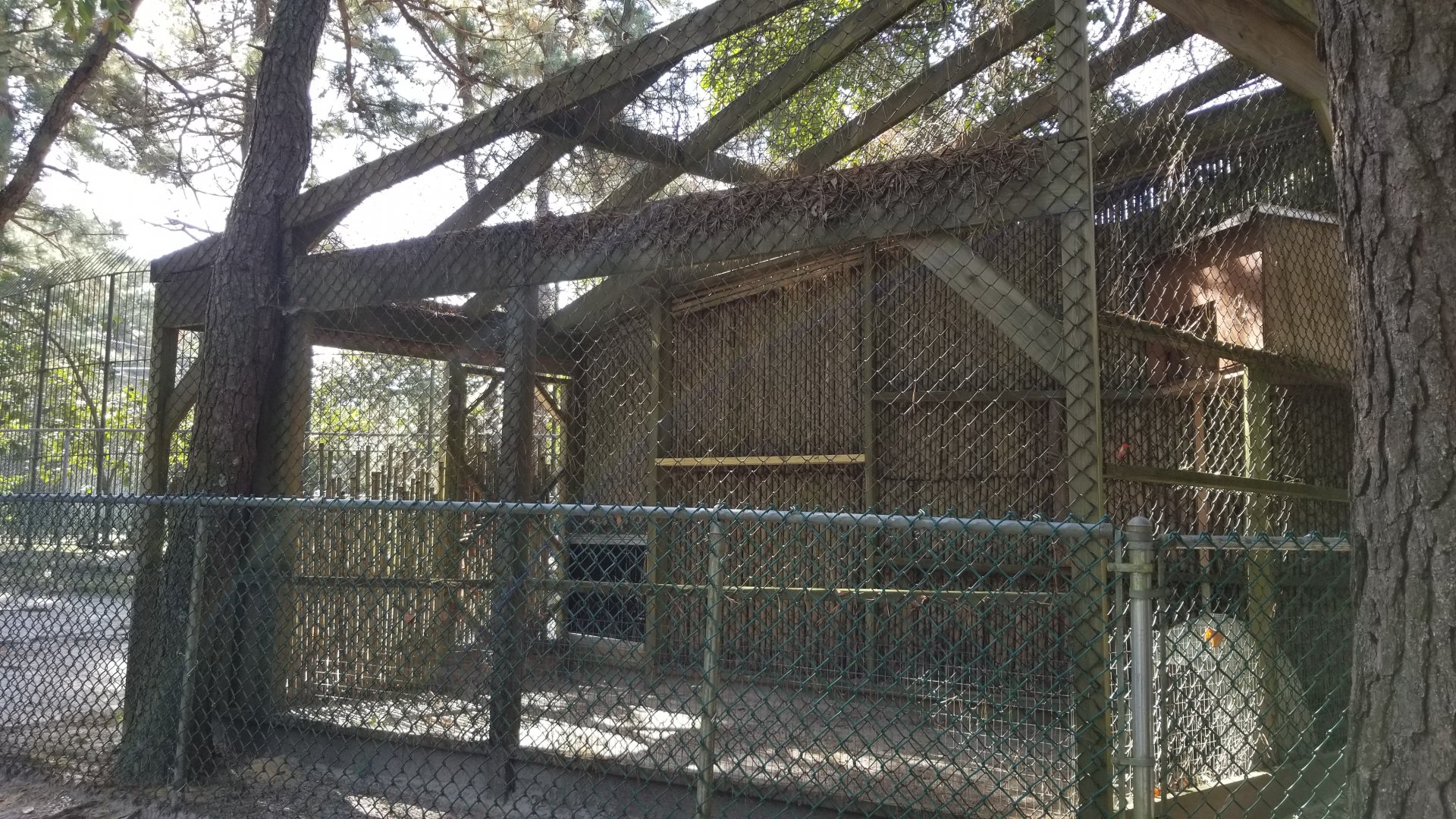 Popcorn Park - Another empty fox exhibit