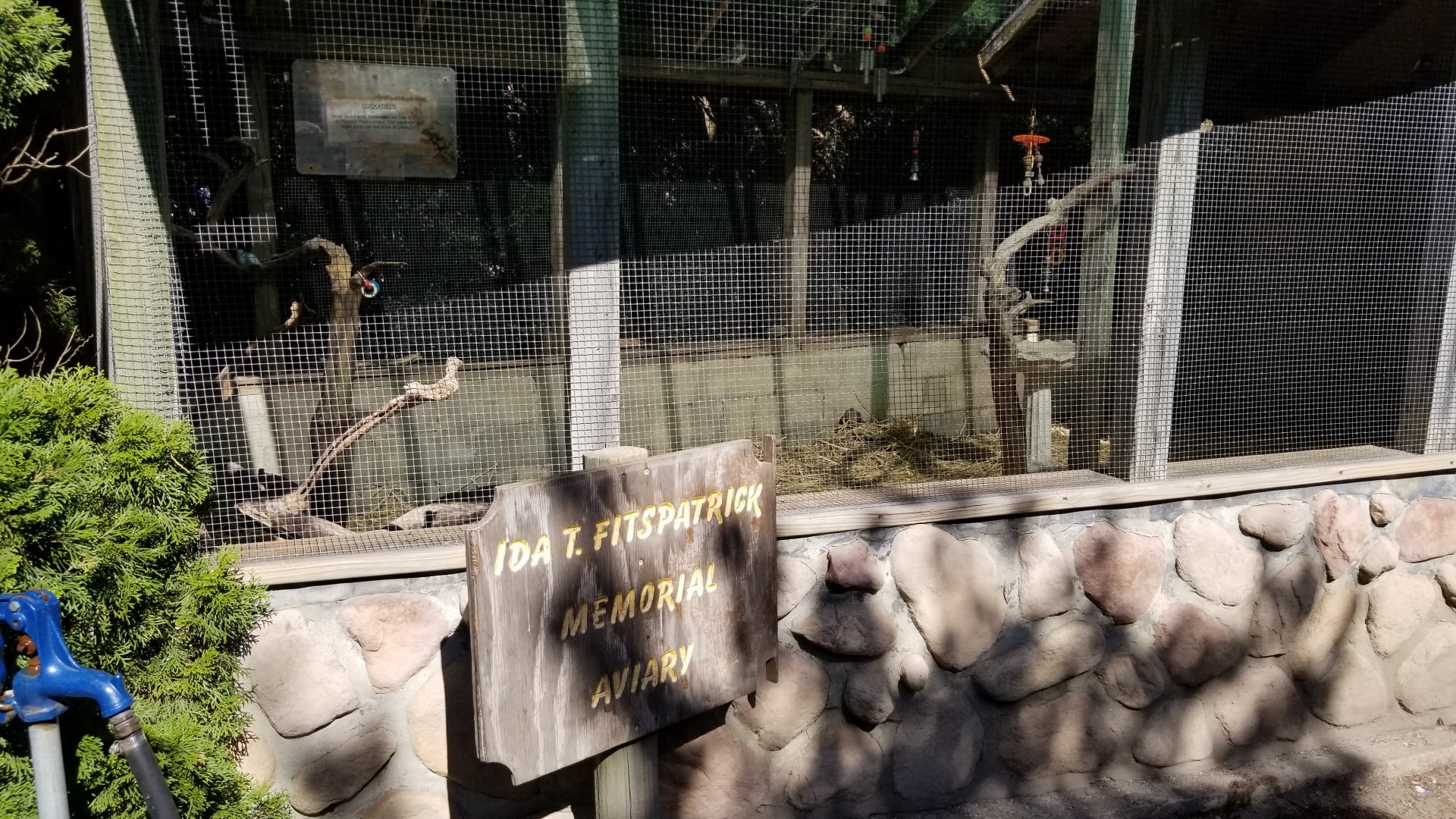 Popcorn Park - Aviary