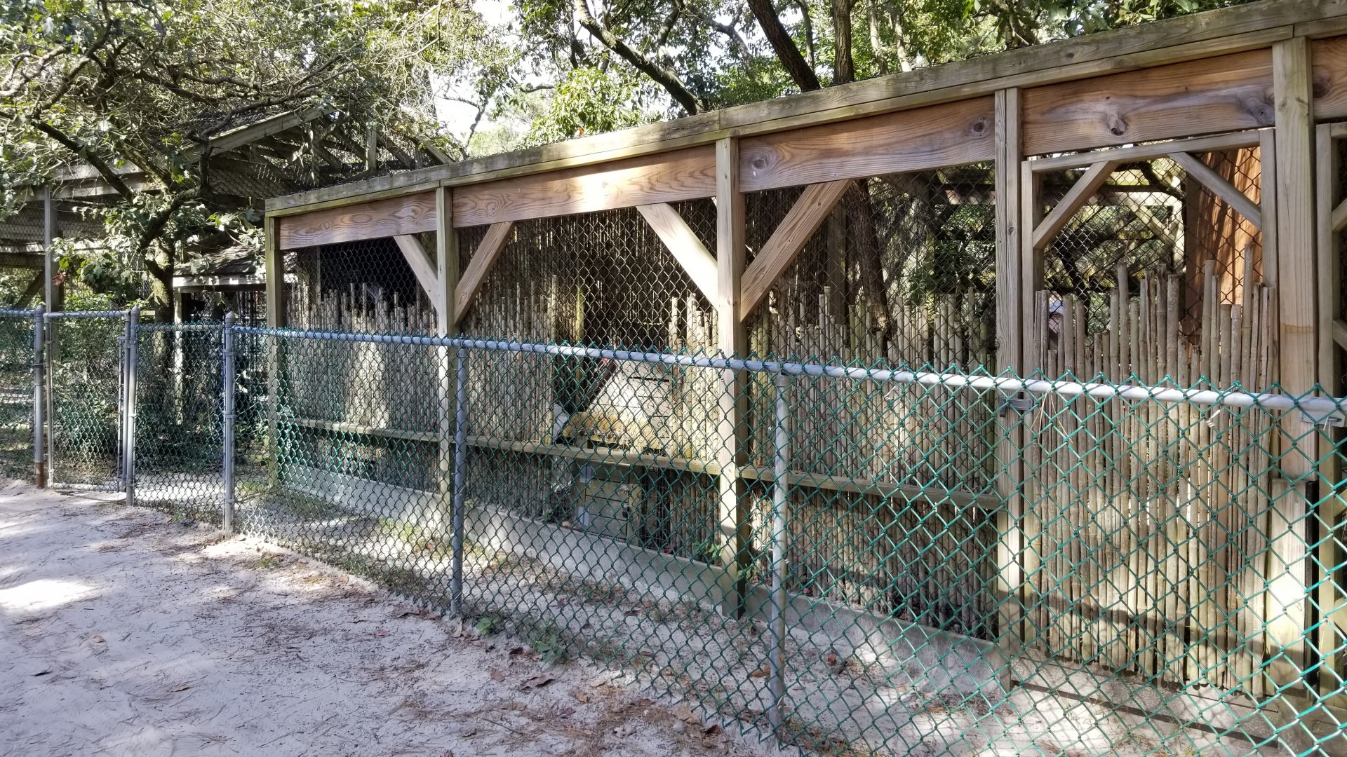 Popcorn Park - Back of foxes