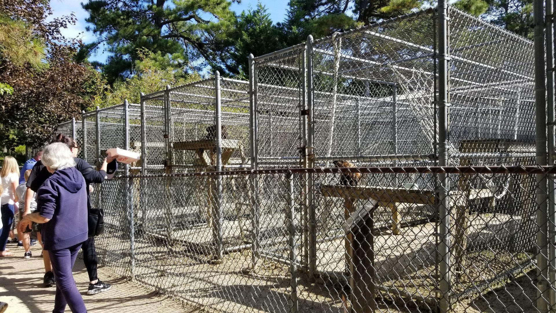 Popcorn Park - Back primate exhibits
