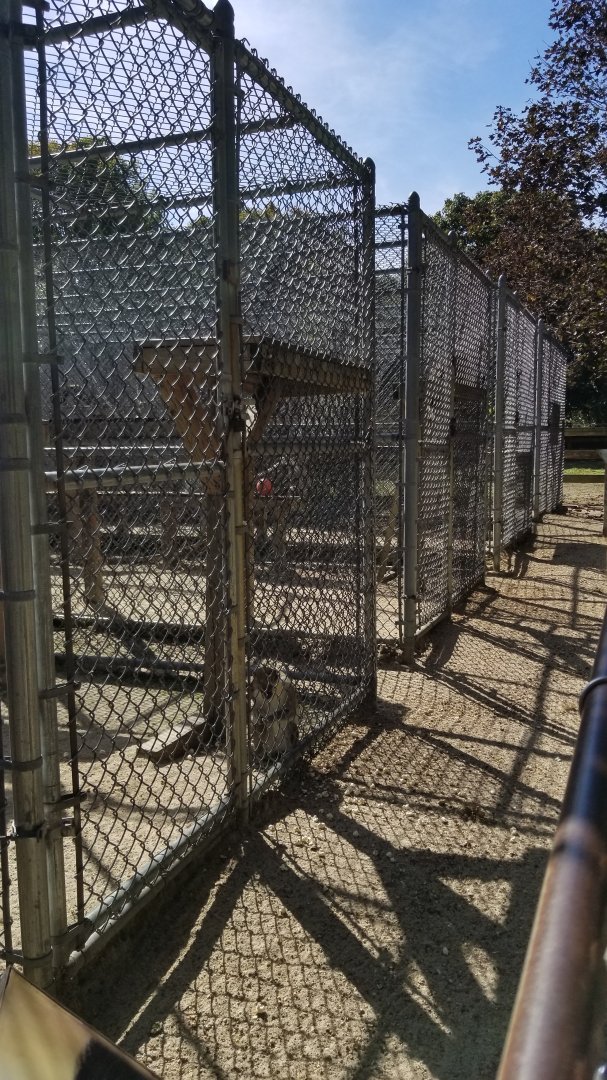 Popcorn Park - Back primate exhibits