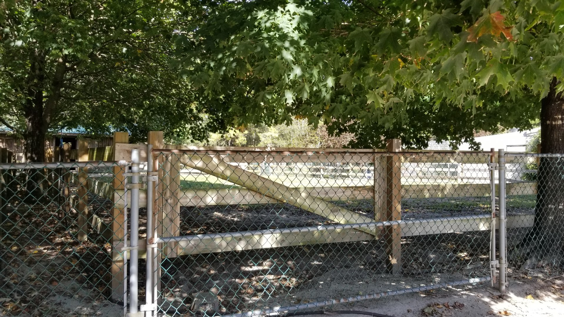 Popcorn Park - Belgian horse