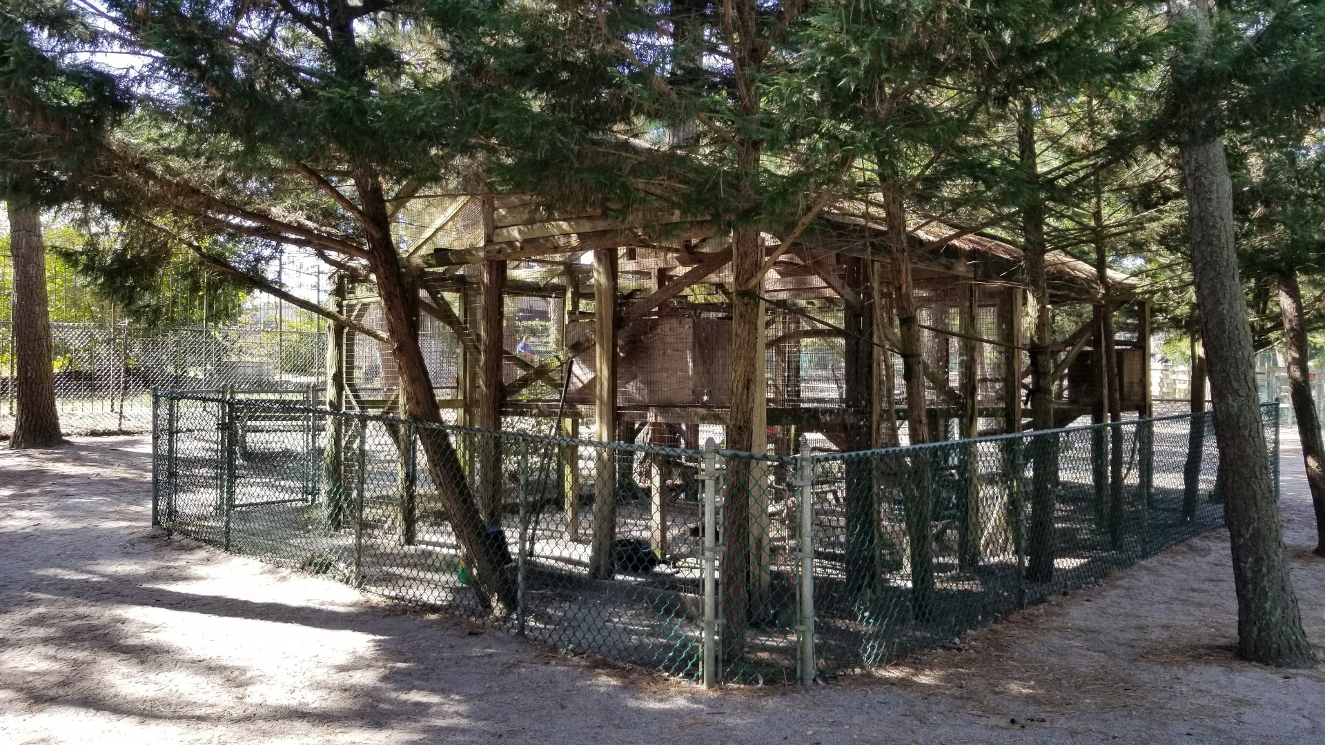 Popcorn Park - Birds of prey