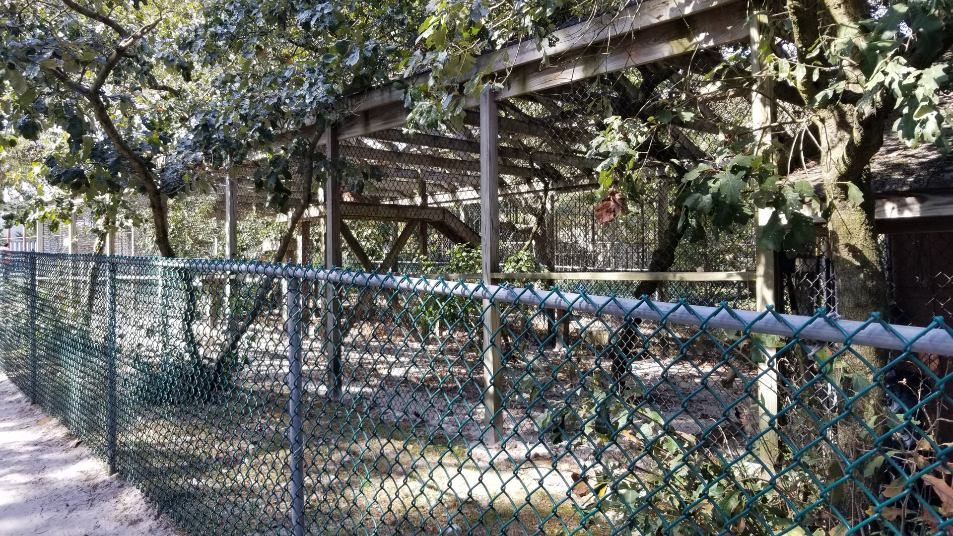 Popcorn Park - Bobcats