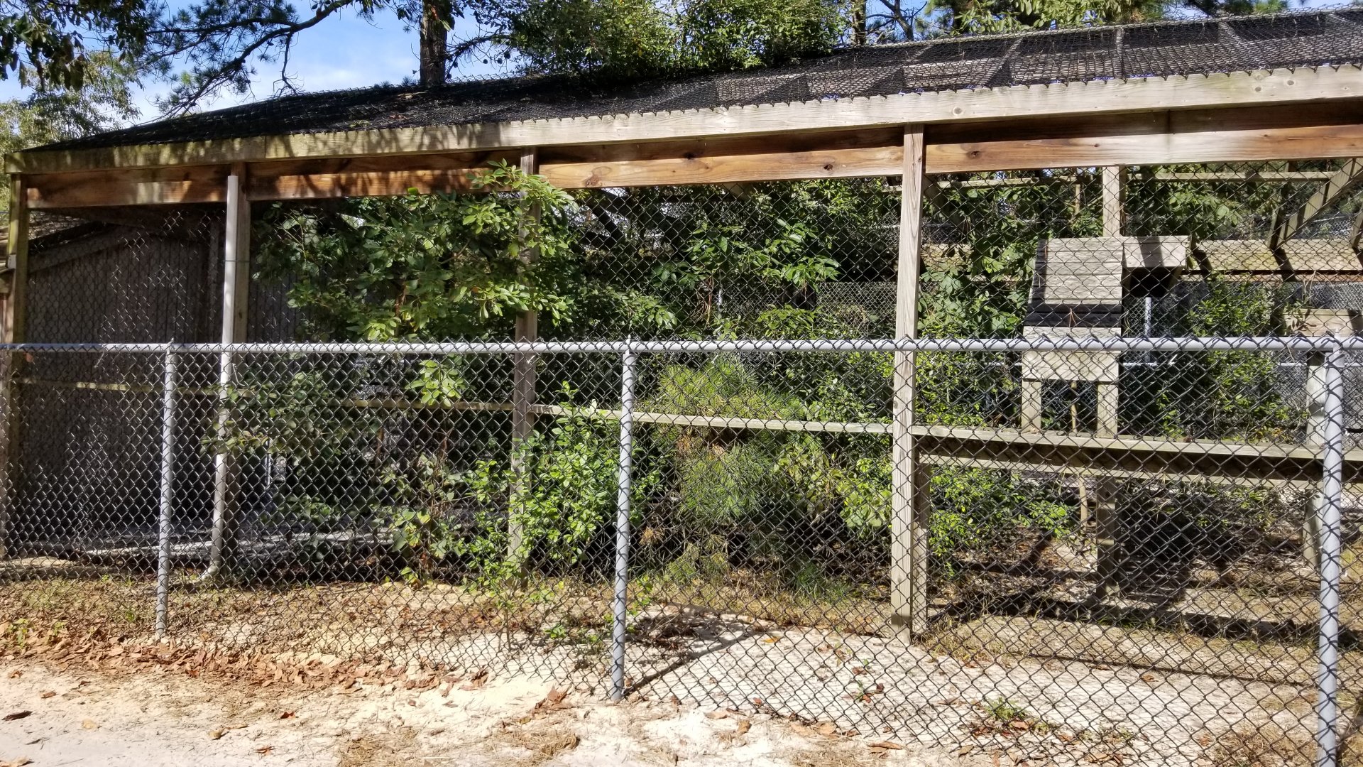 Popcorn Park - Bobcats