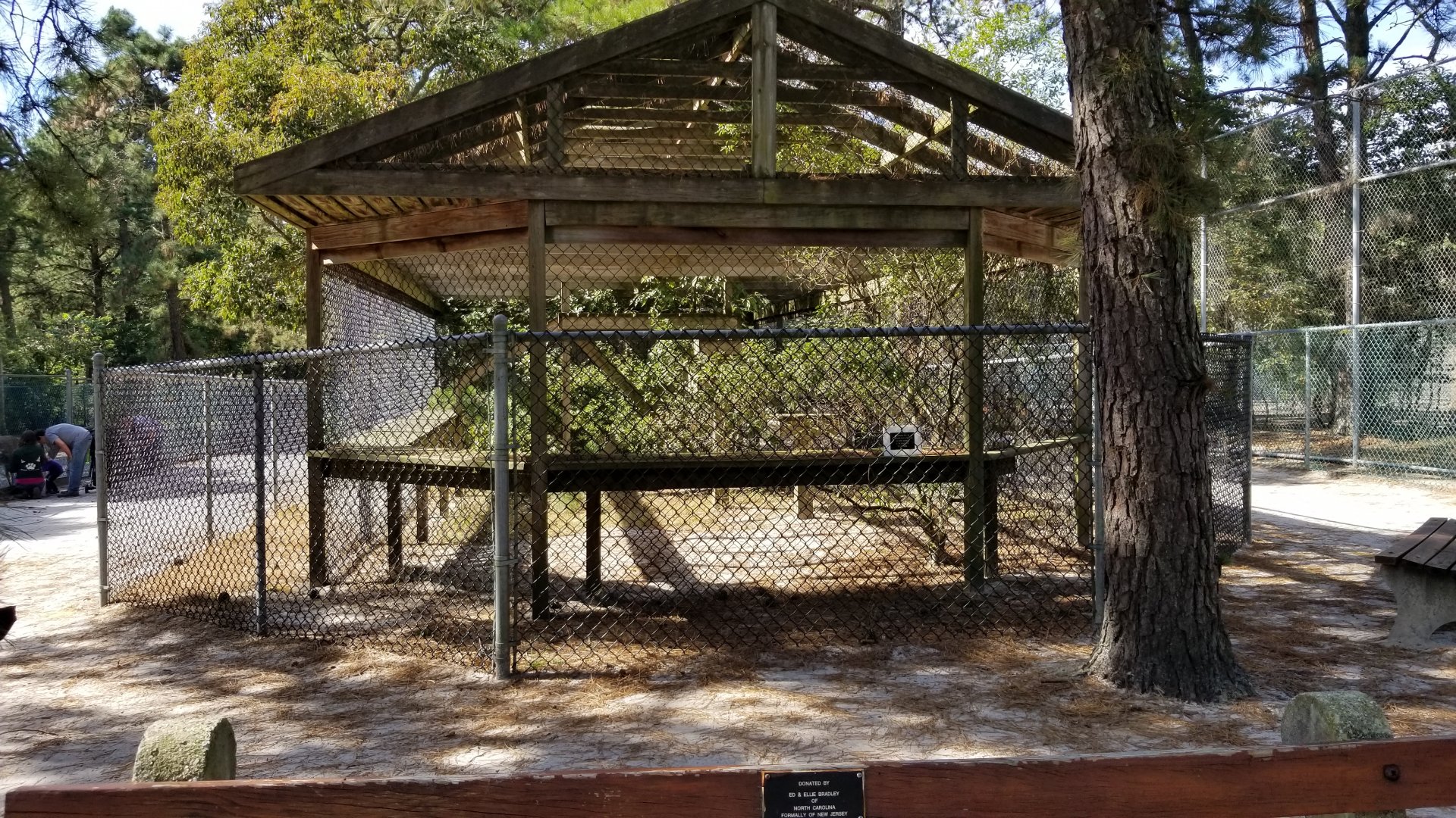 Popcorn Park - Bobcats