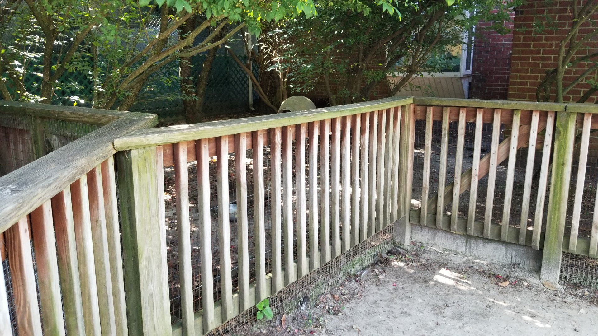 Popcorn Park - Box turtles