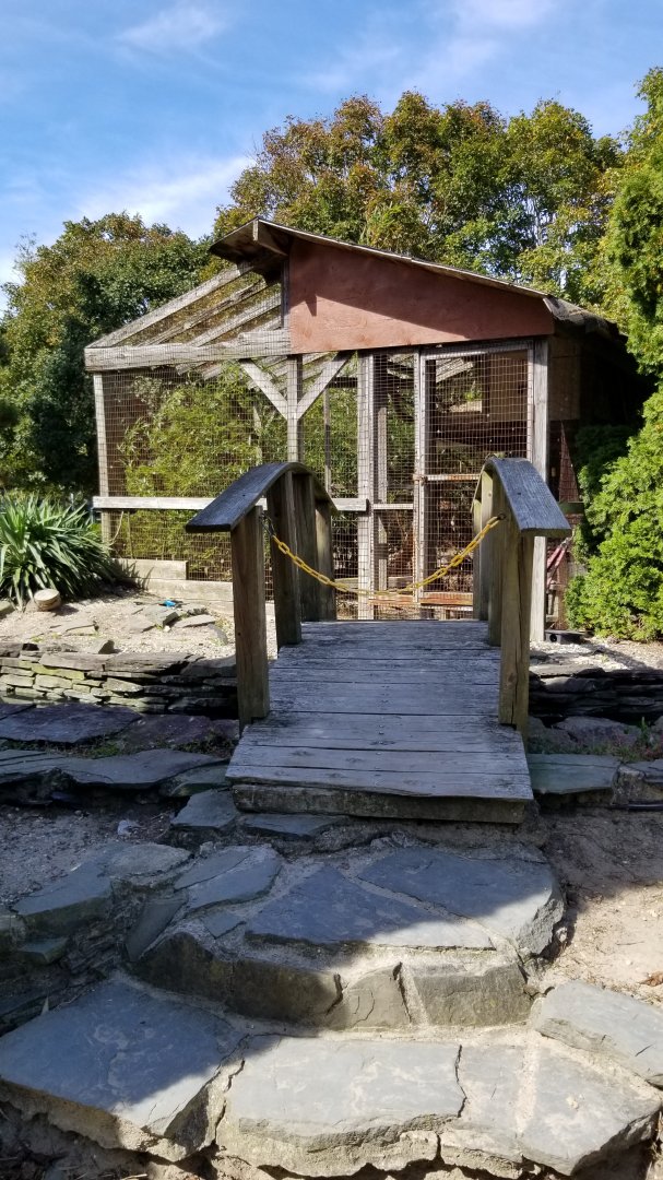 Popcorn Park - Bridge to no idea