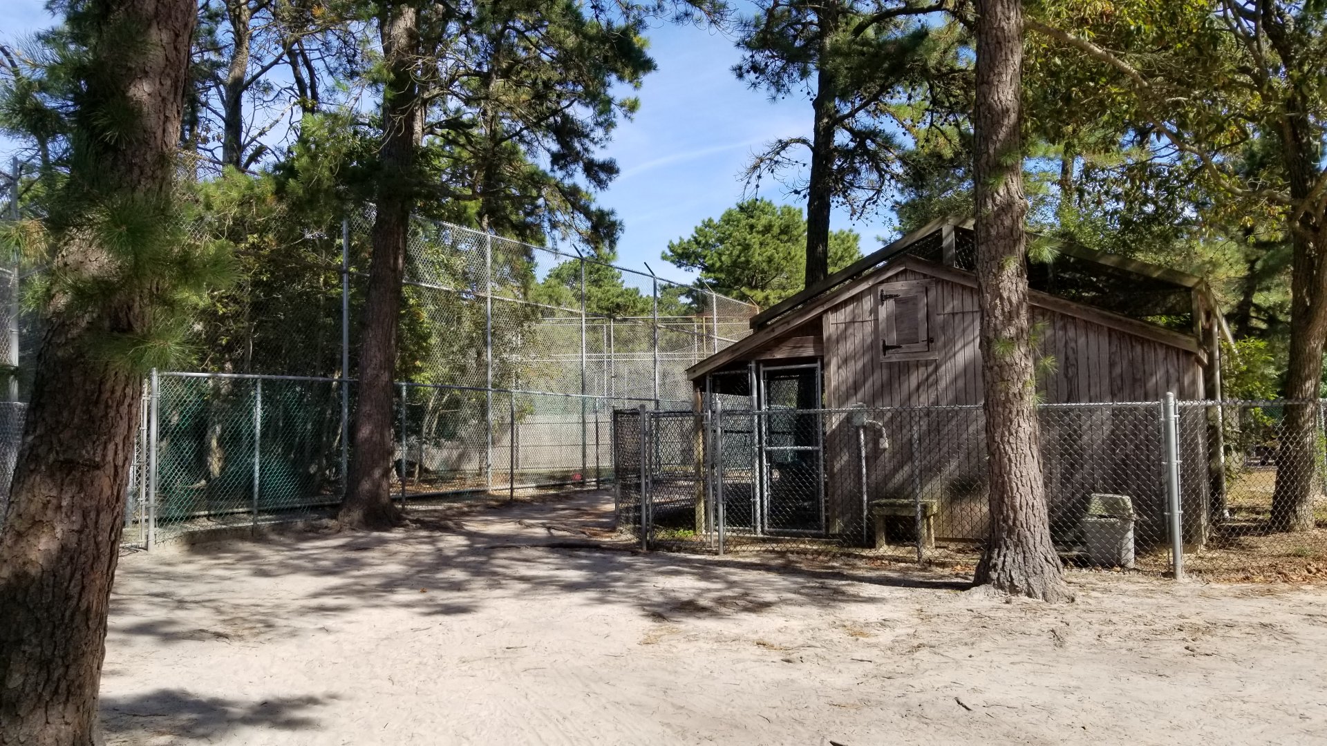 Popcorn Park - Building