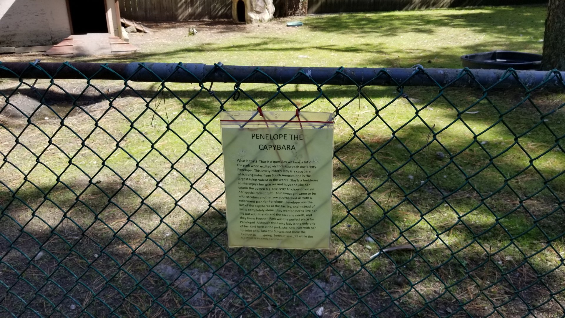 Popcorn Park - Capybara sign