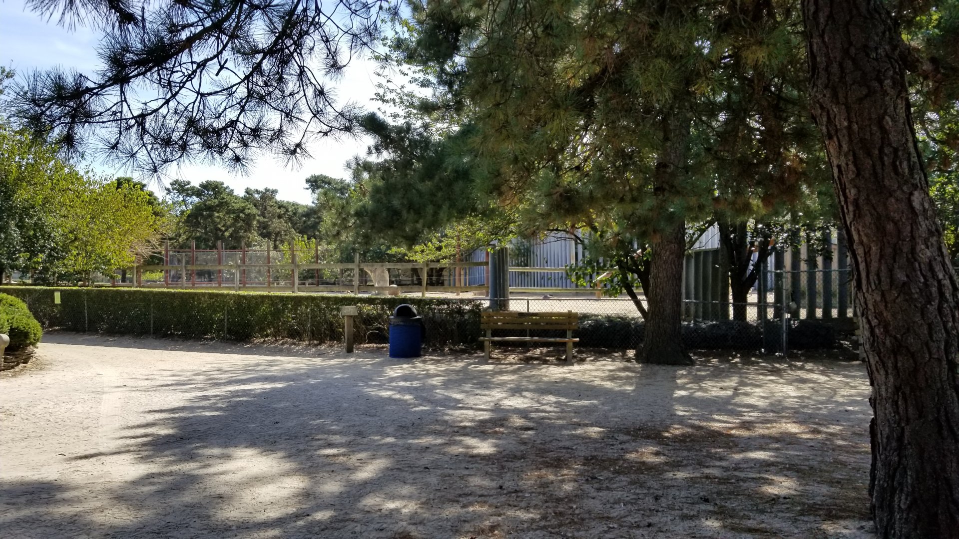 Popcorn Park - Cows and camelids, formerly elephant