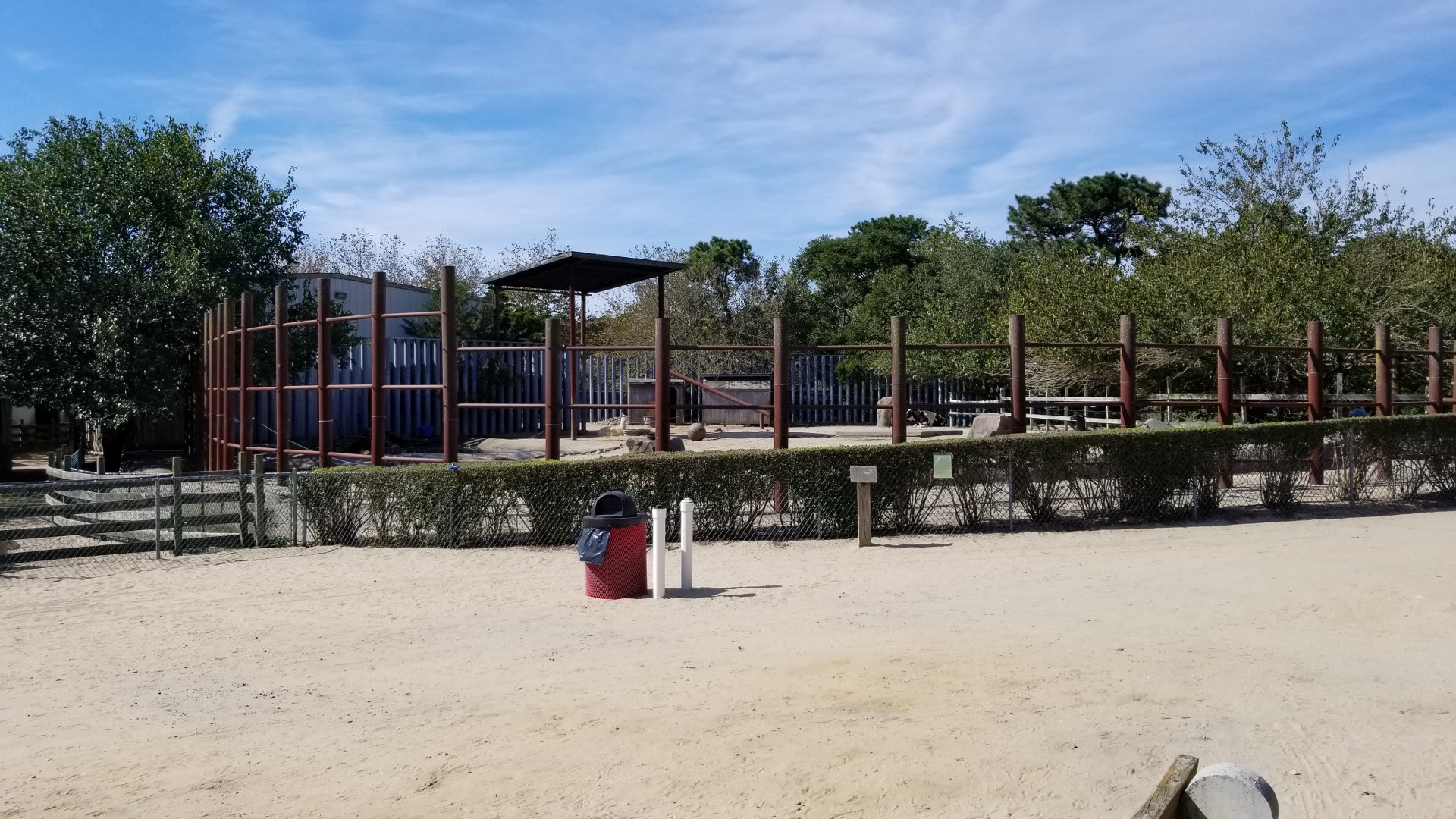 Popcorn Park - Cows and camelids