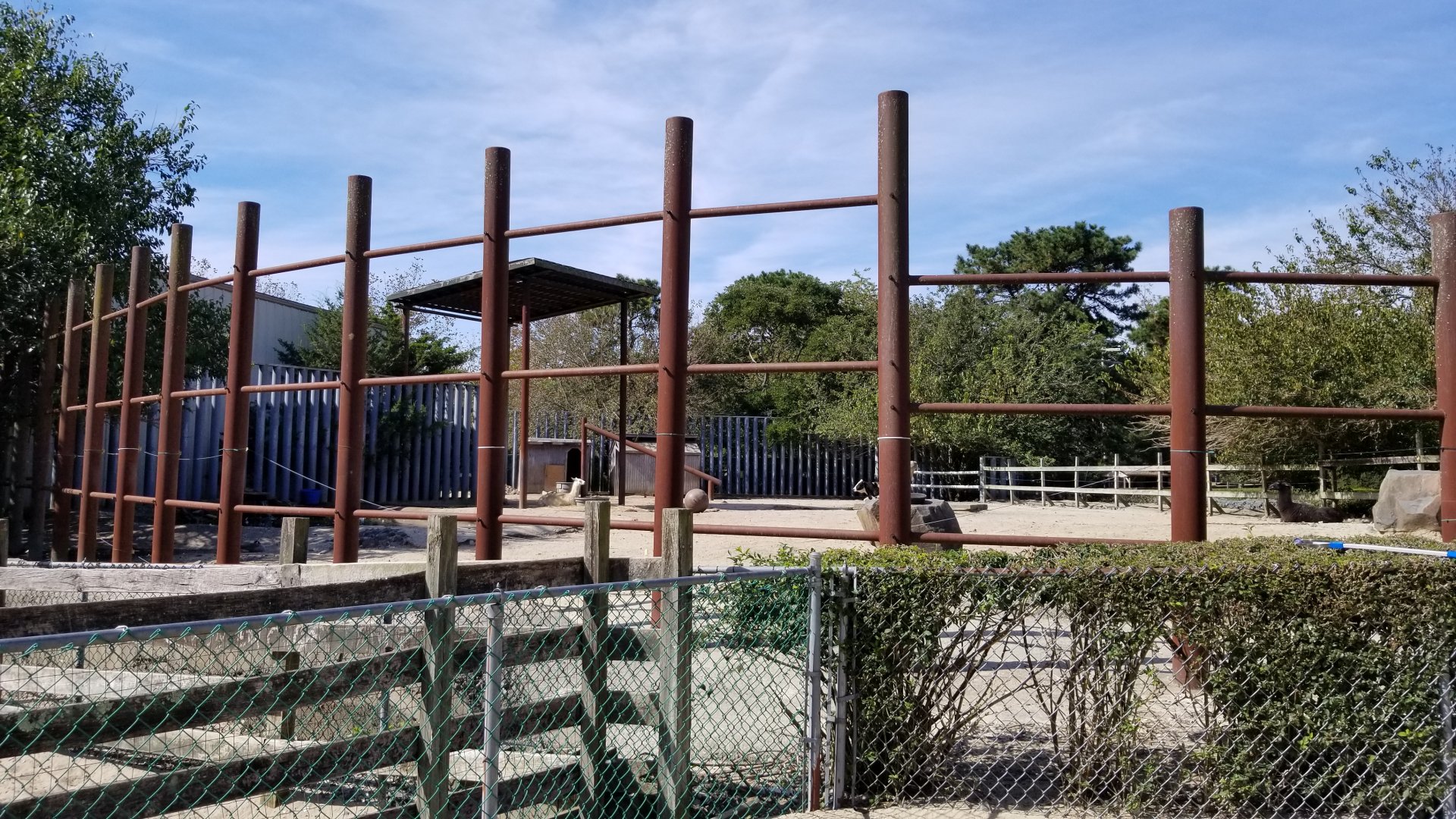 Popcorn Park - Cows and camelids