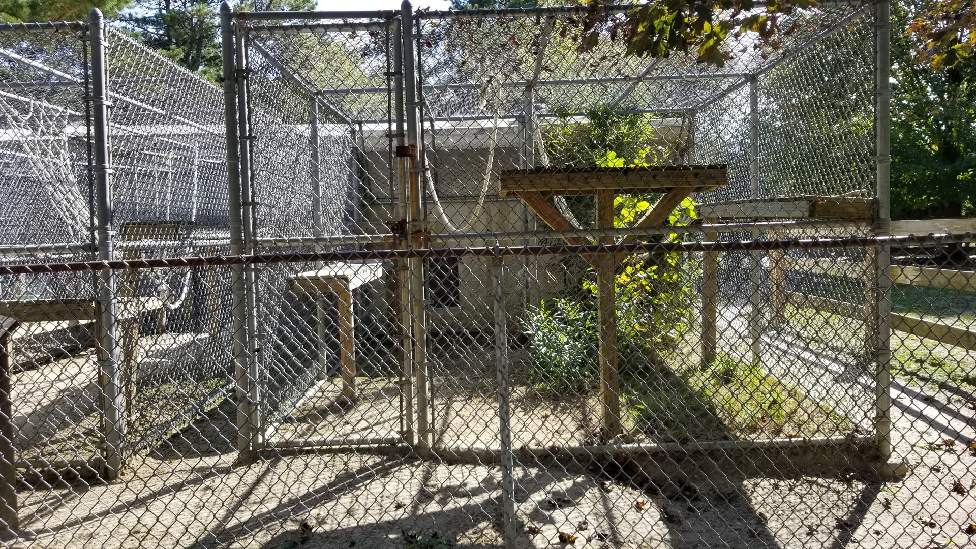 Popcorn Park - Didn't see this exhibit's animal