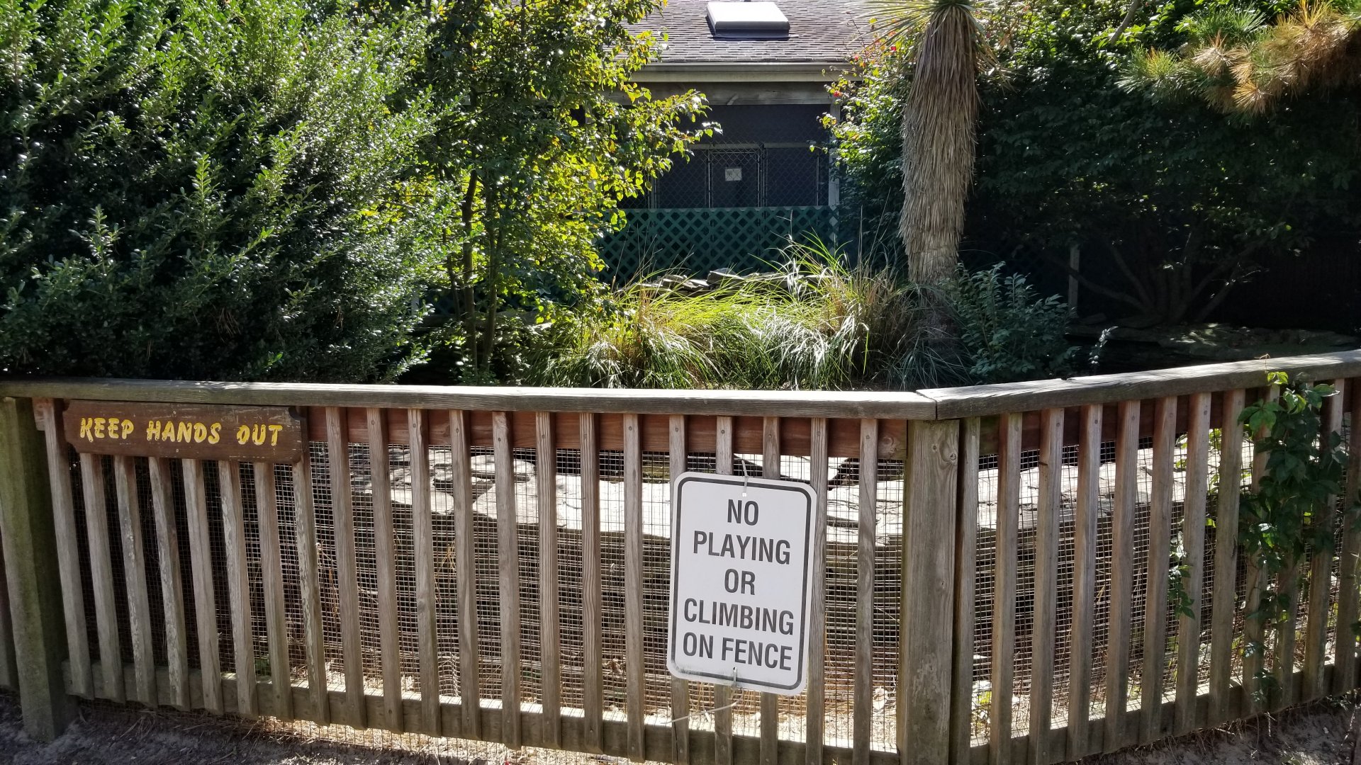 Popcorn Park - Empty, caiman? With dog kennels behind