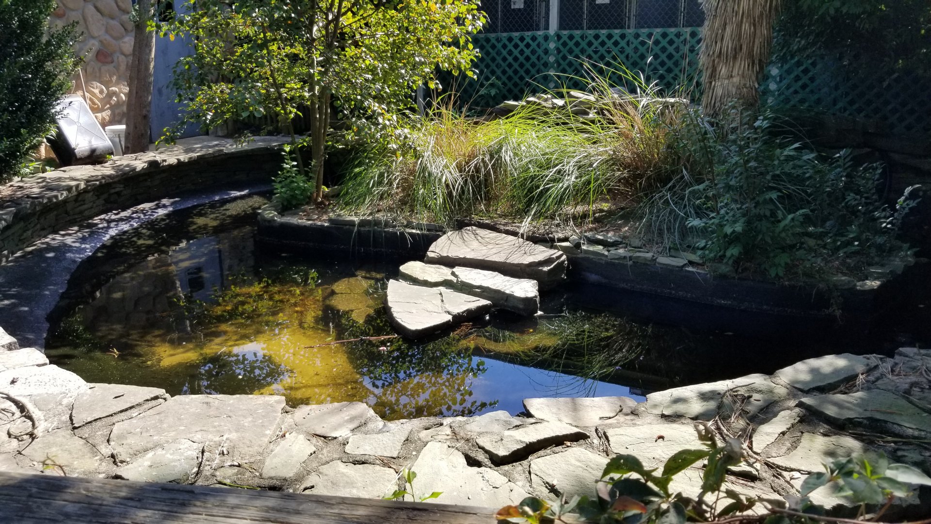 Popcorn Park - Empty, caiman?