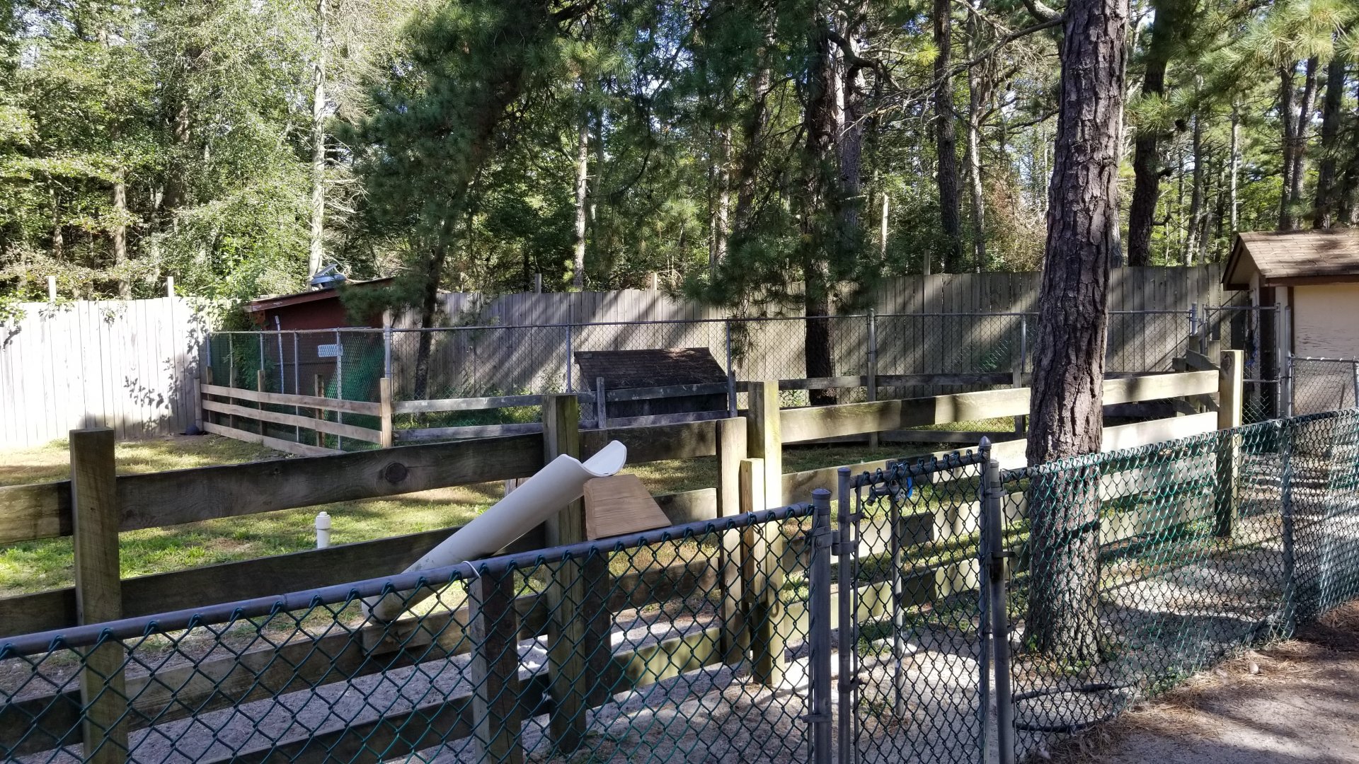 Popcorn Park - Empty exhibit behind goats