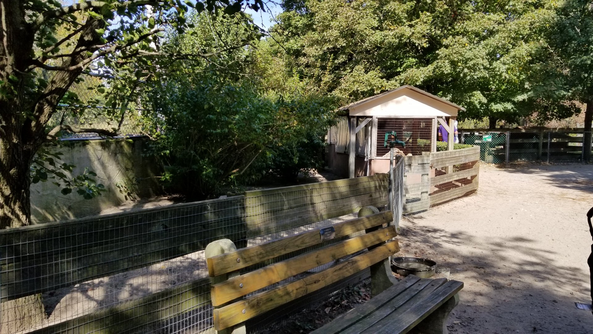 Popcorn Park - Empty exhibit