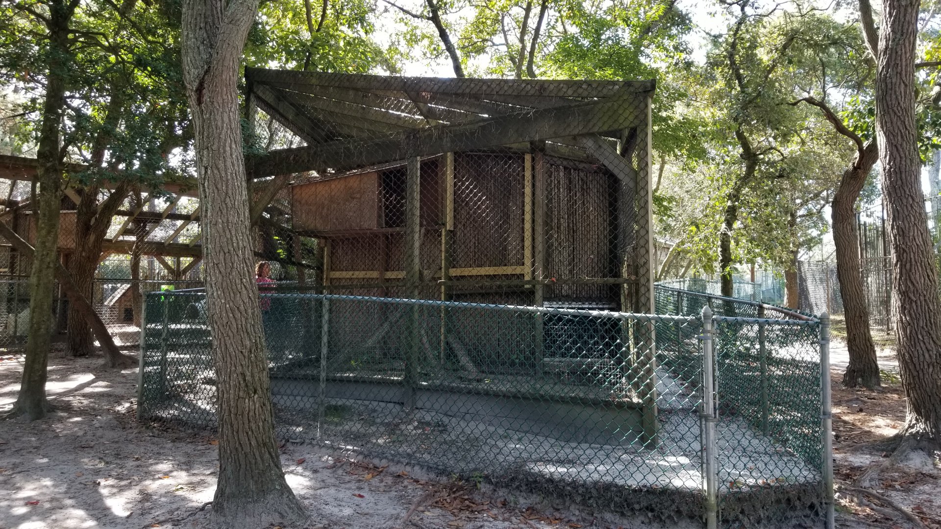 Popcorn Park - Empty exhibit